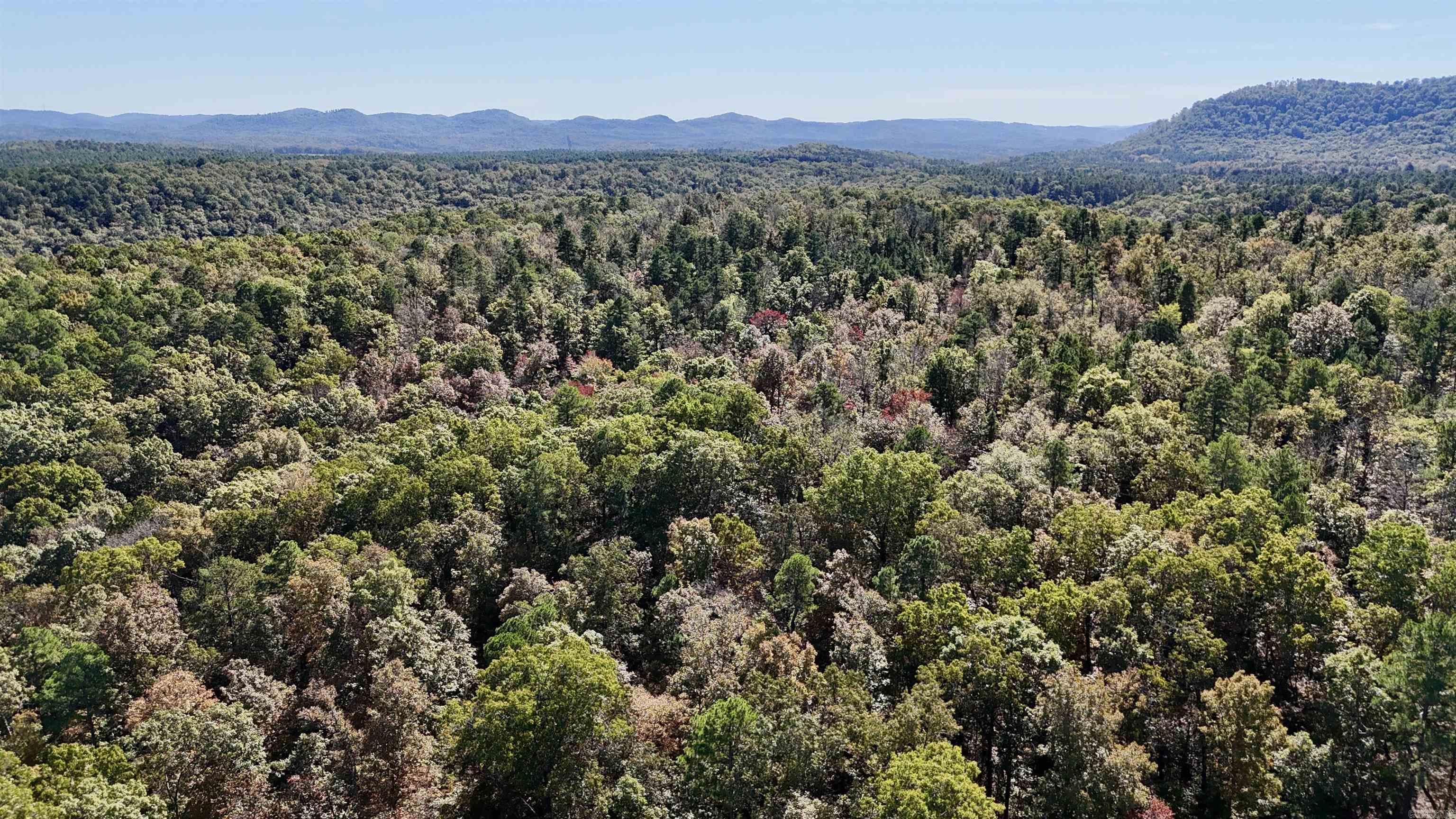 1444 Forest Home LN  Mountain View, AR