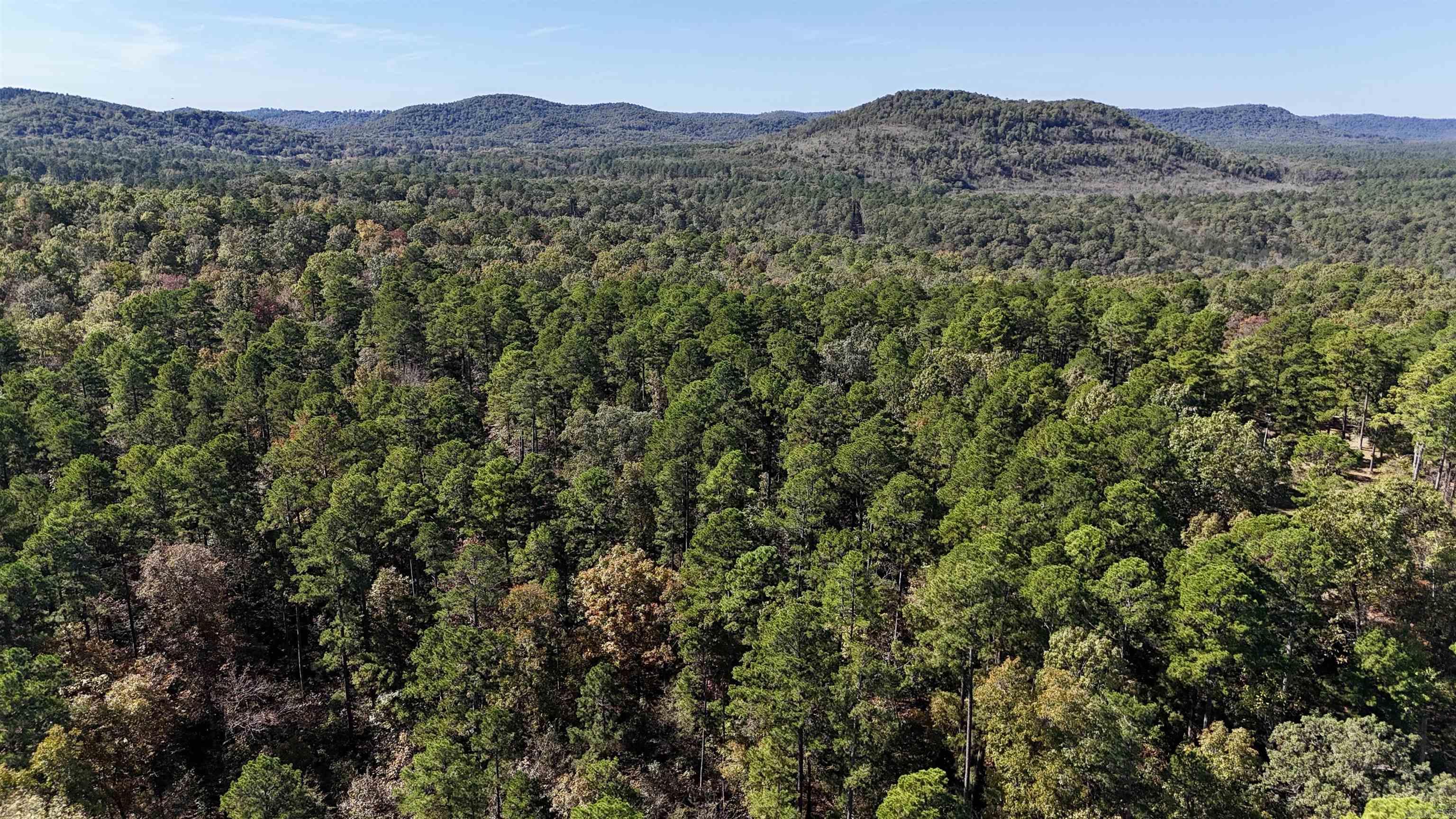 1444 Forest Home LN  Mountain View, AR