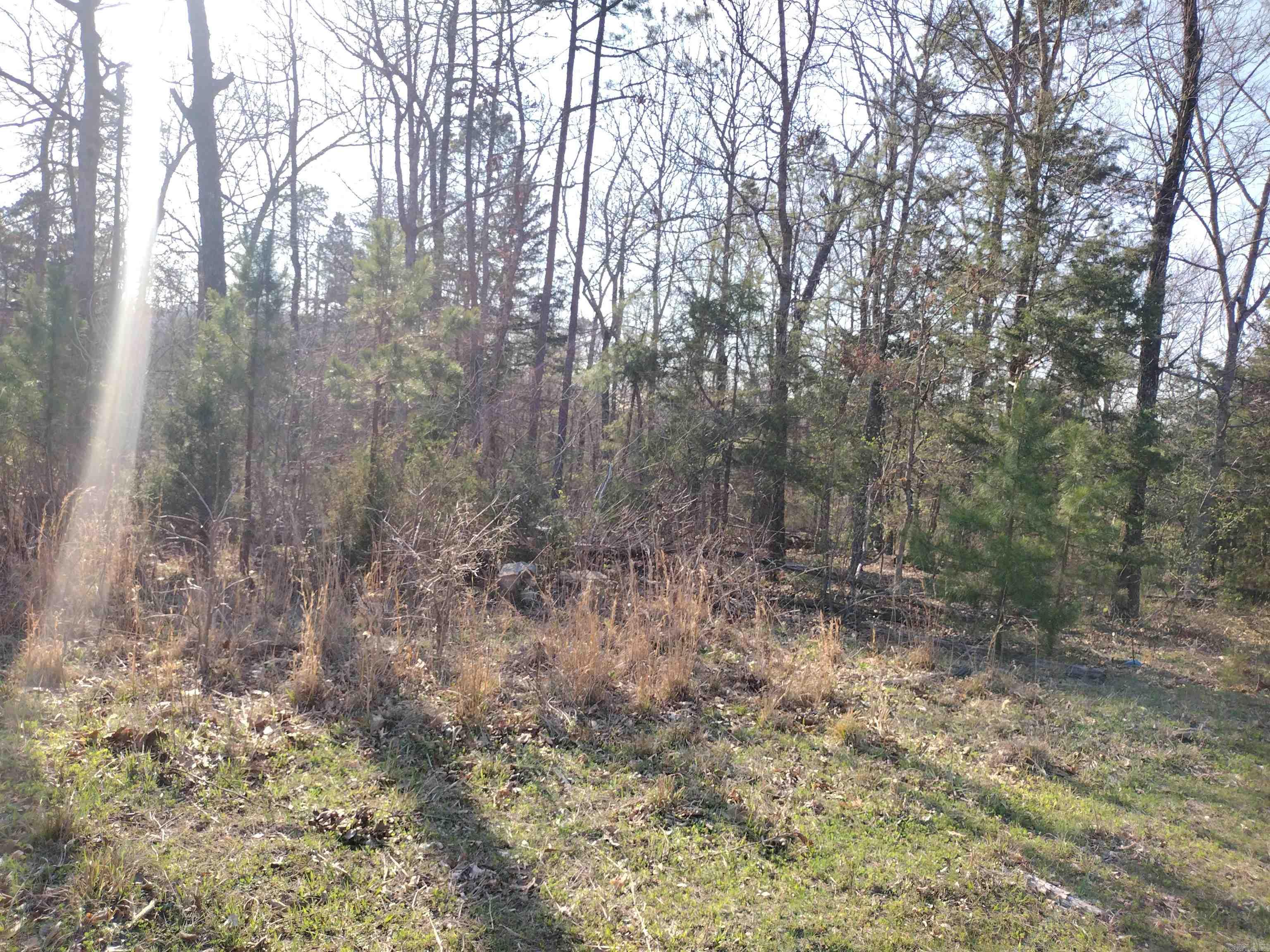 1444 Forest Home LN  Mountain View, AR