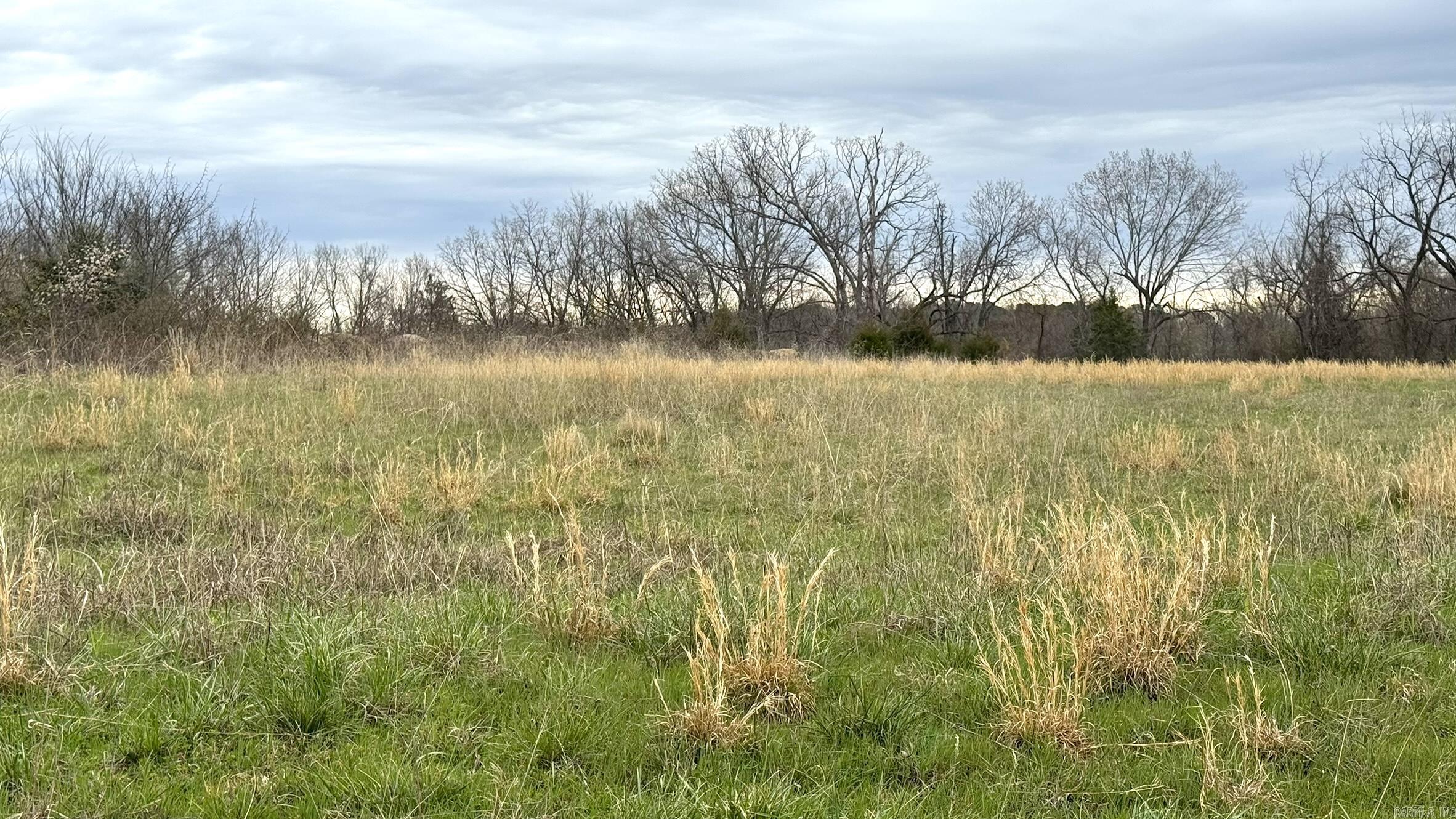 437 County Road 262 Mountain Home, AR 72653