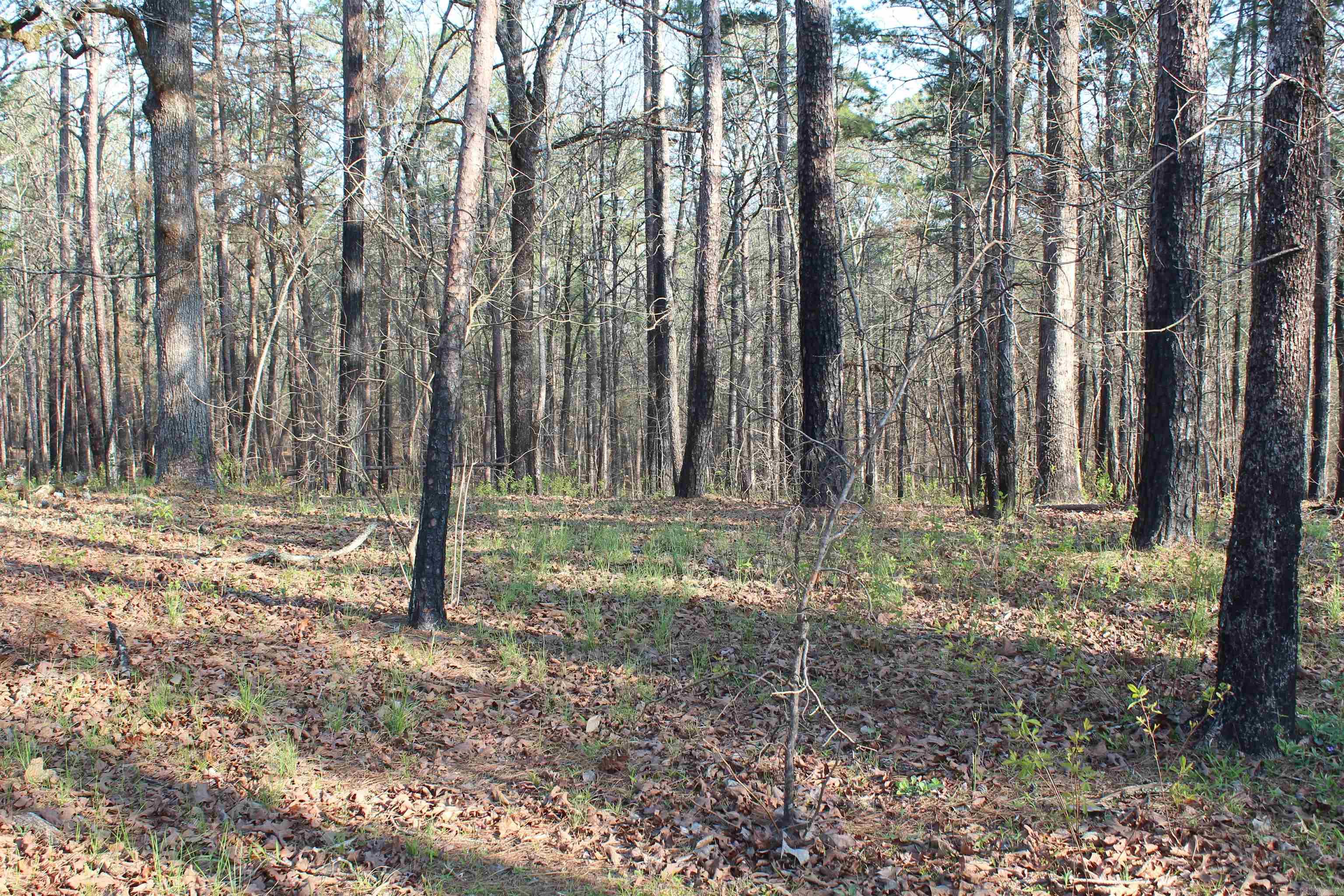 159 Gray  Cleveland, AR