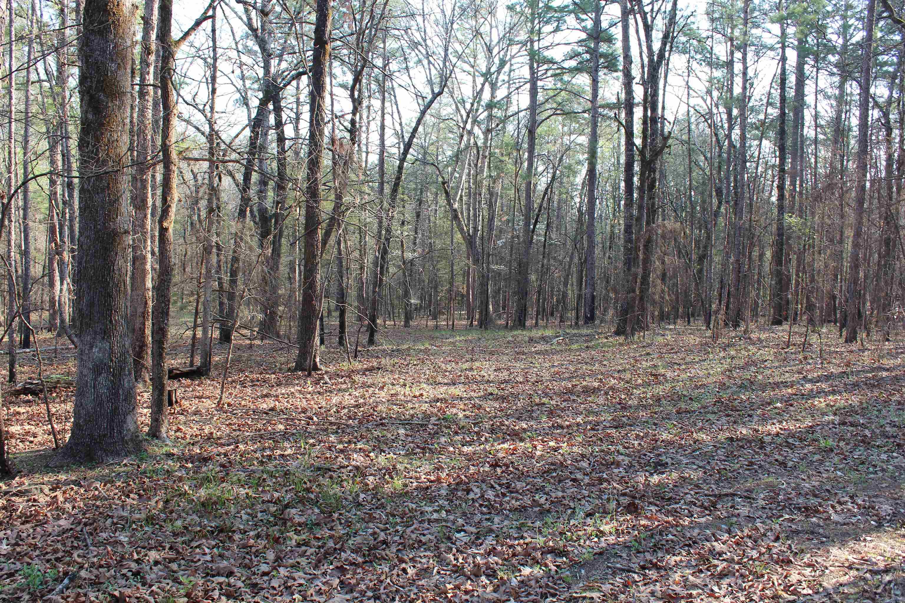 159 Gray  Cleveland, AR