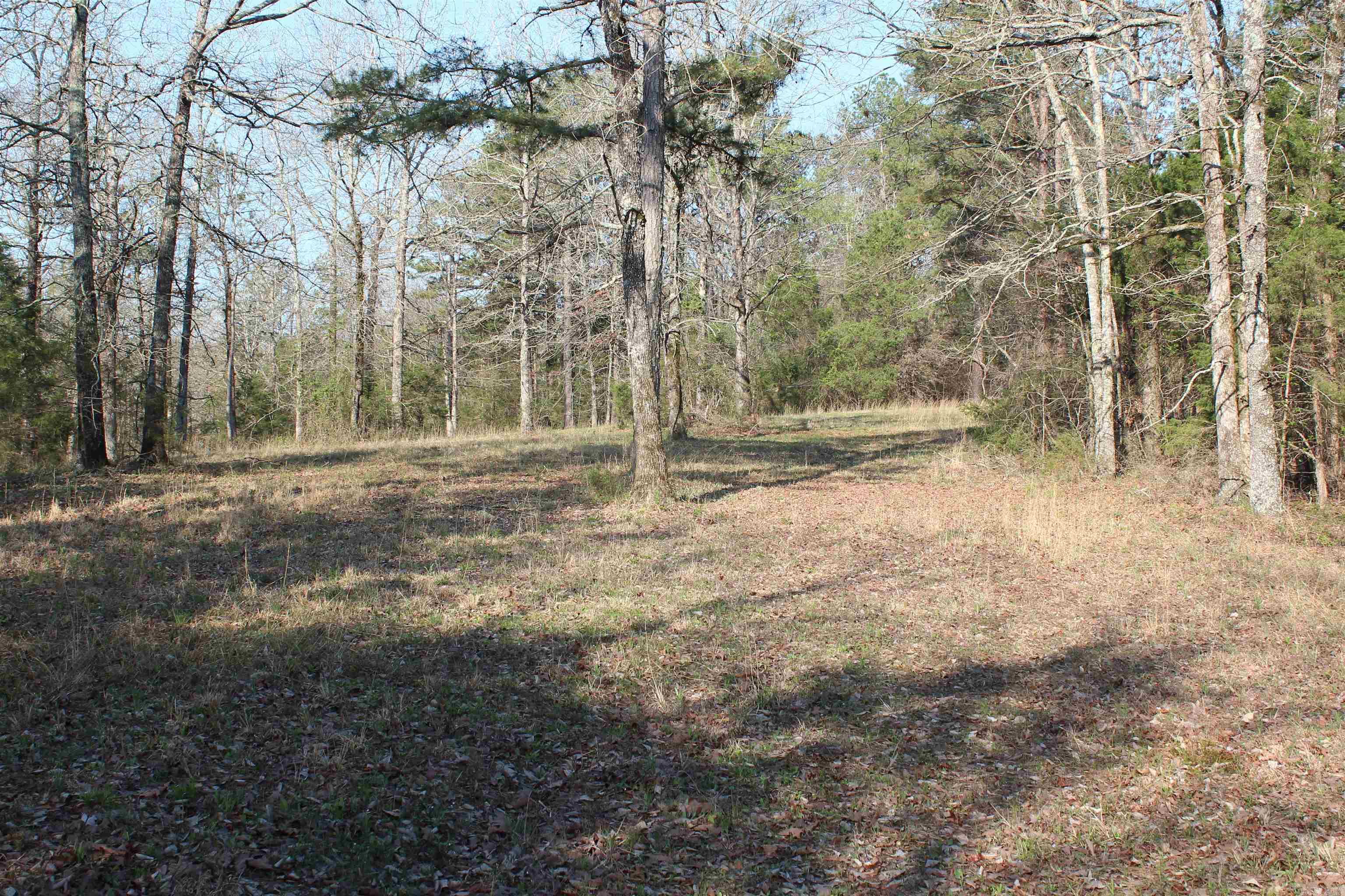 159 Gray  Cleveland, AR