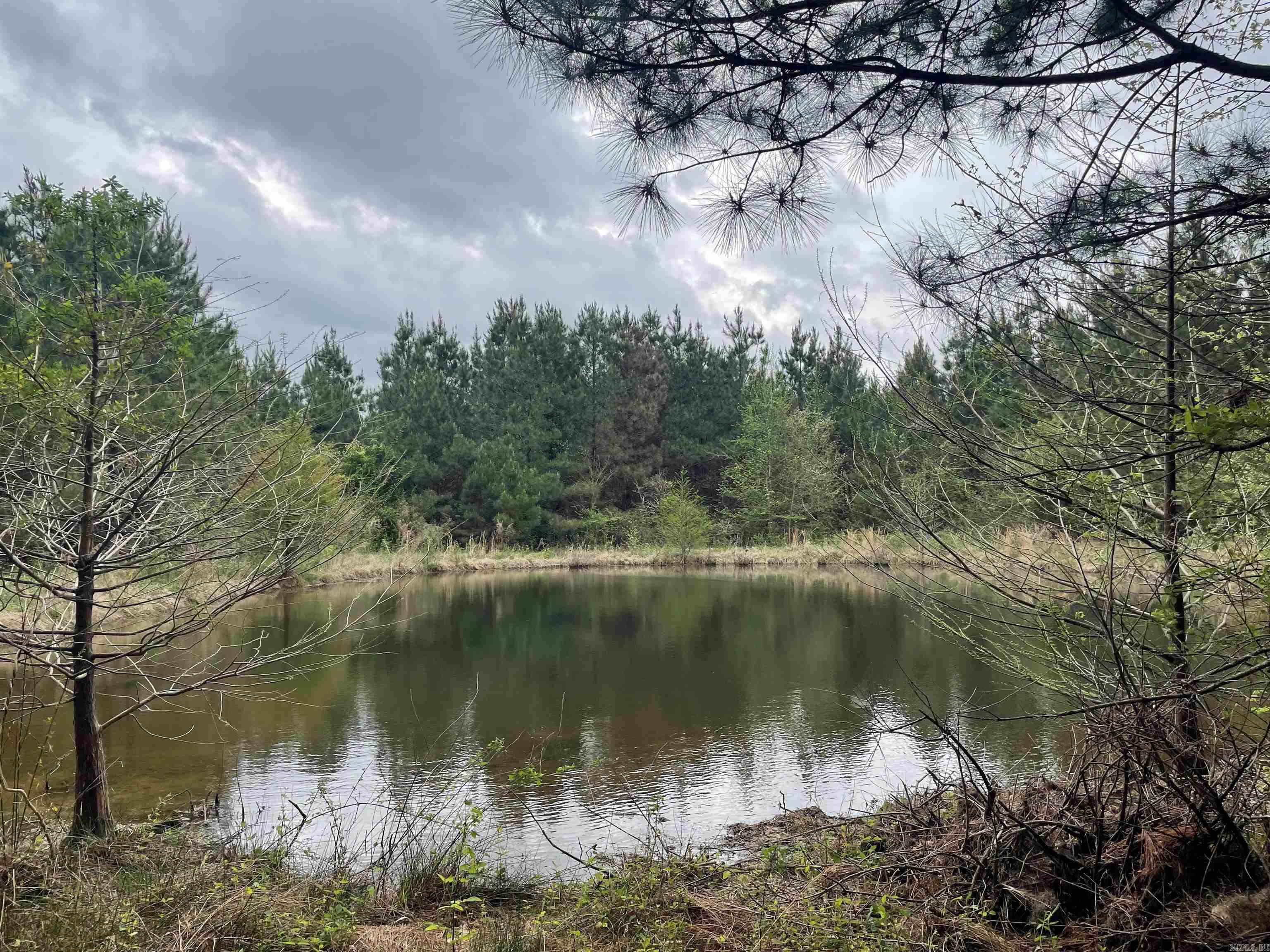  Highway 291  Prattsville, AR