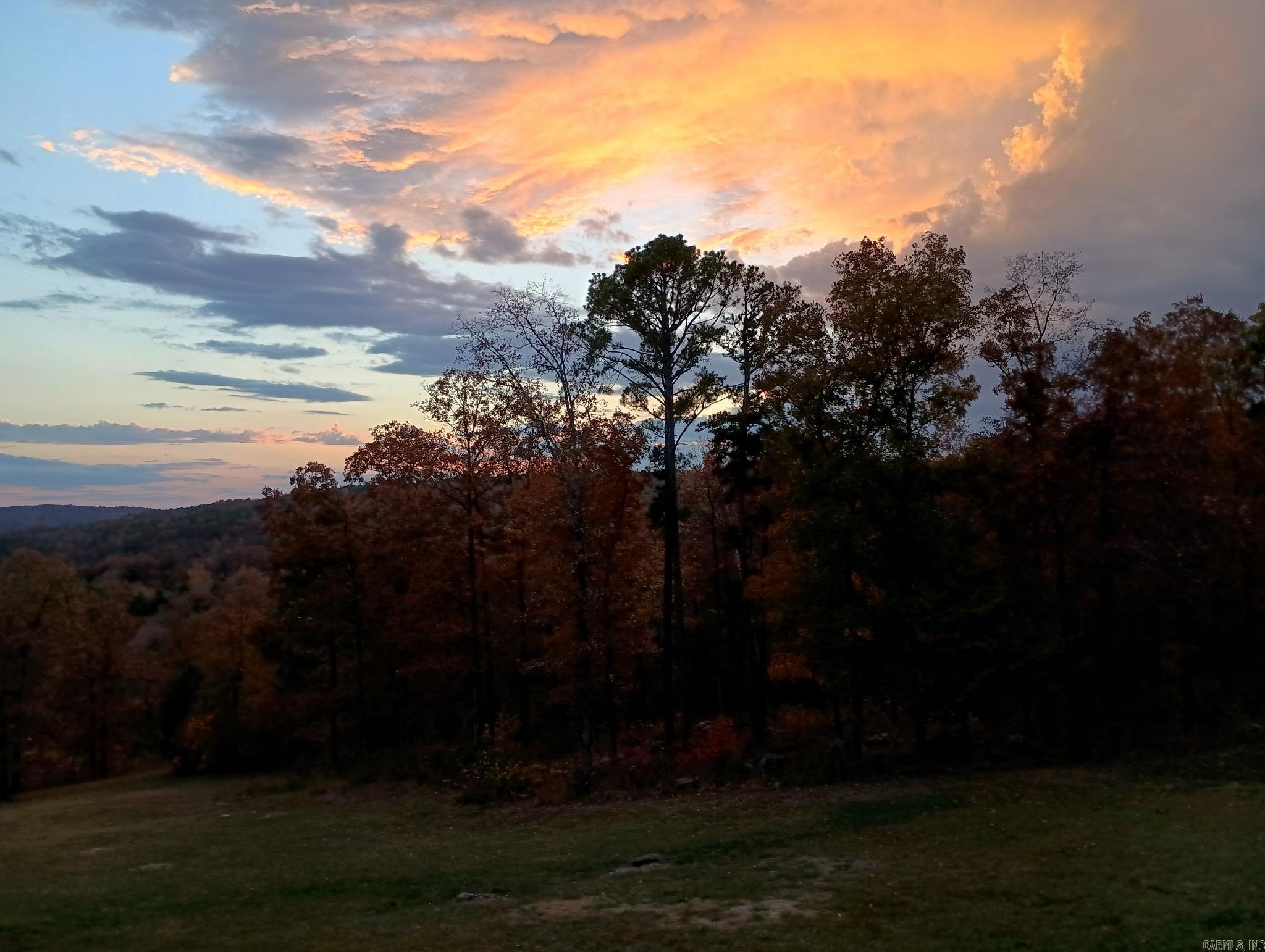 16350 HWY 110 Shirley, AR 72153