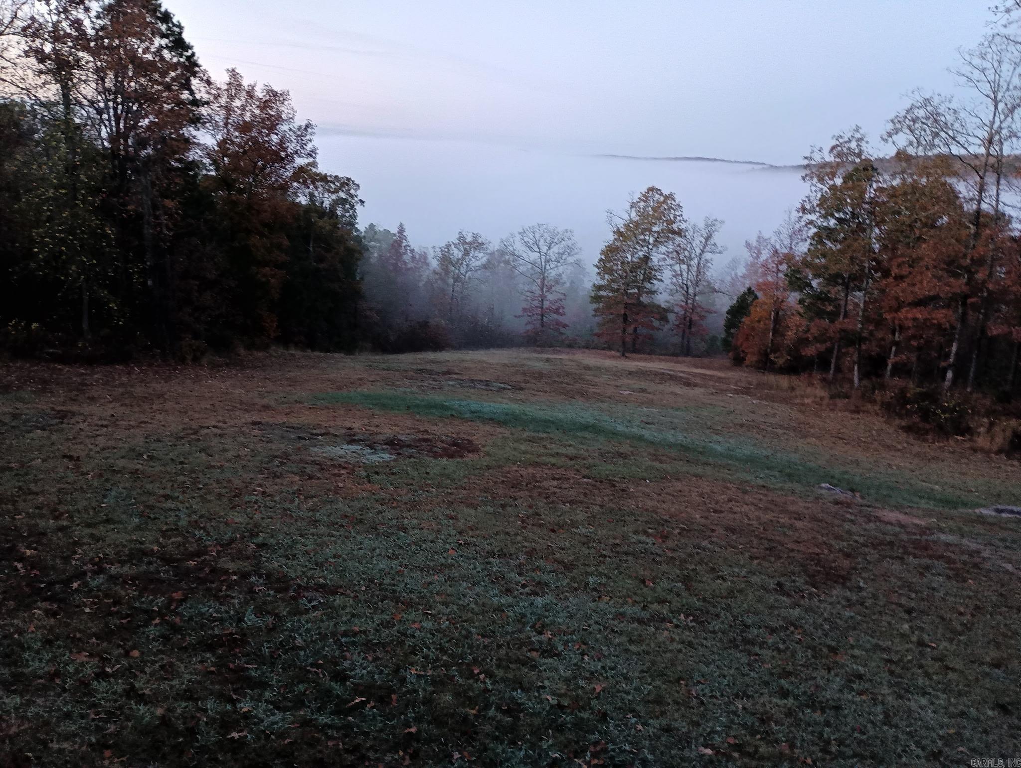 16350 HWY 110 Shirley, AR 72153