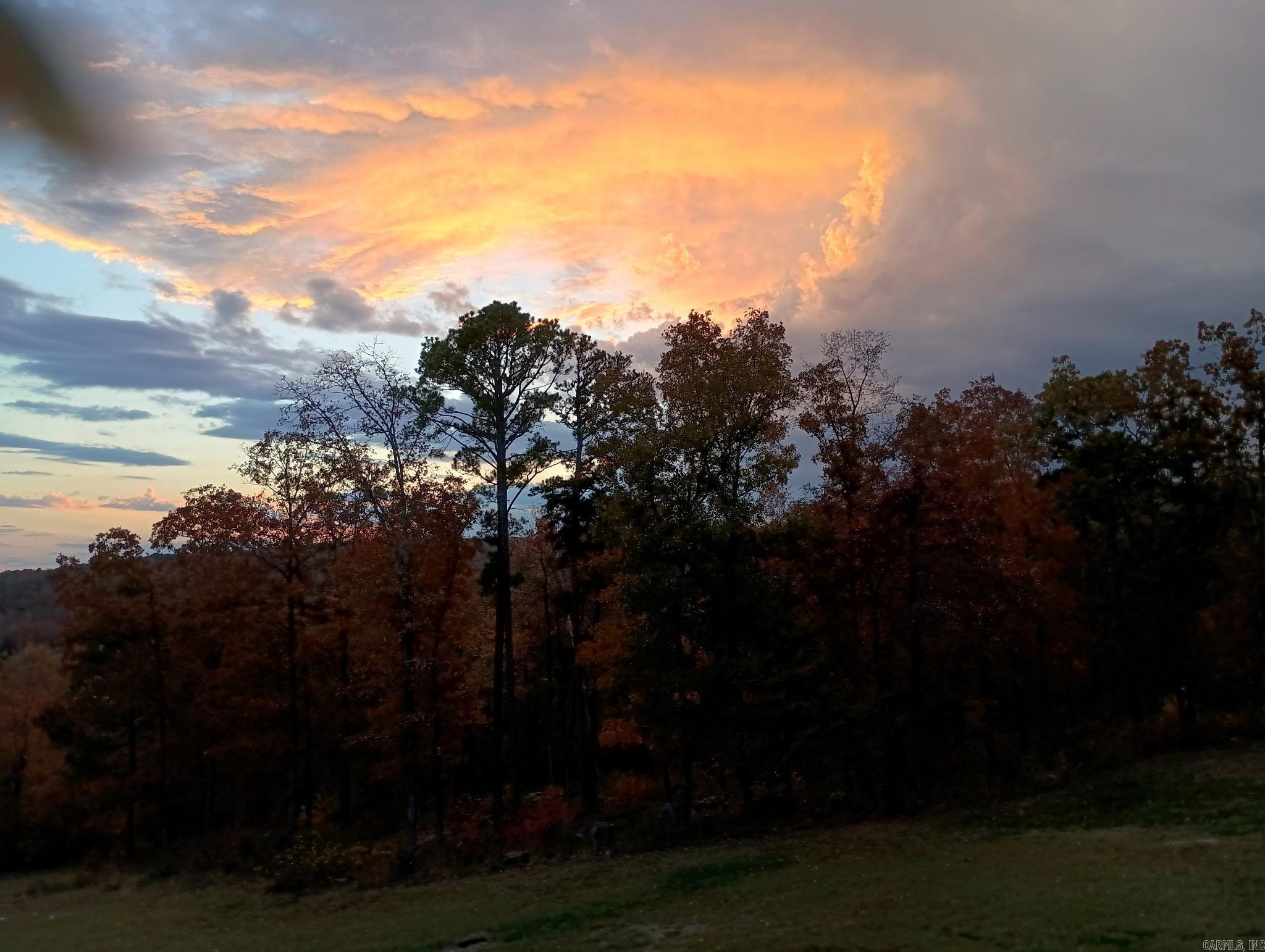 16350 HWY 110 Shirley, AR 72153