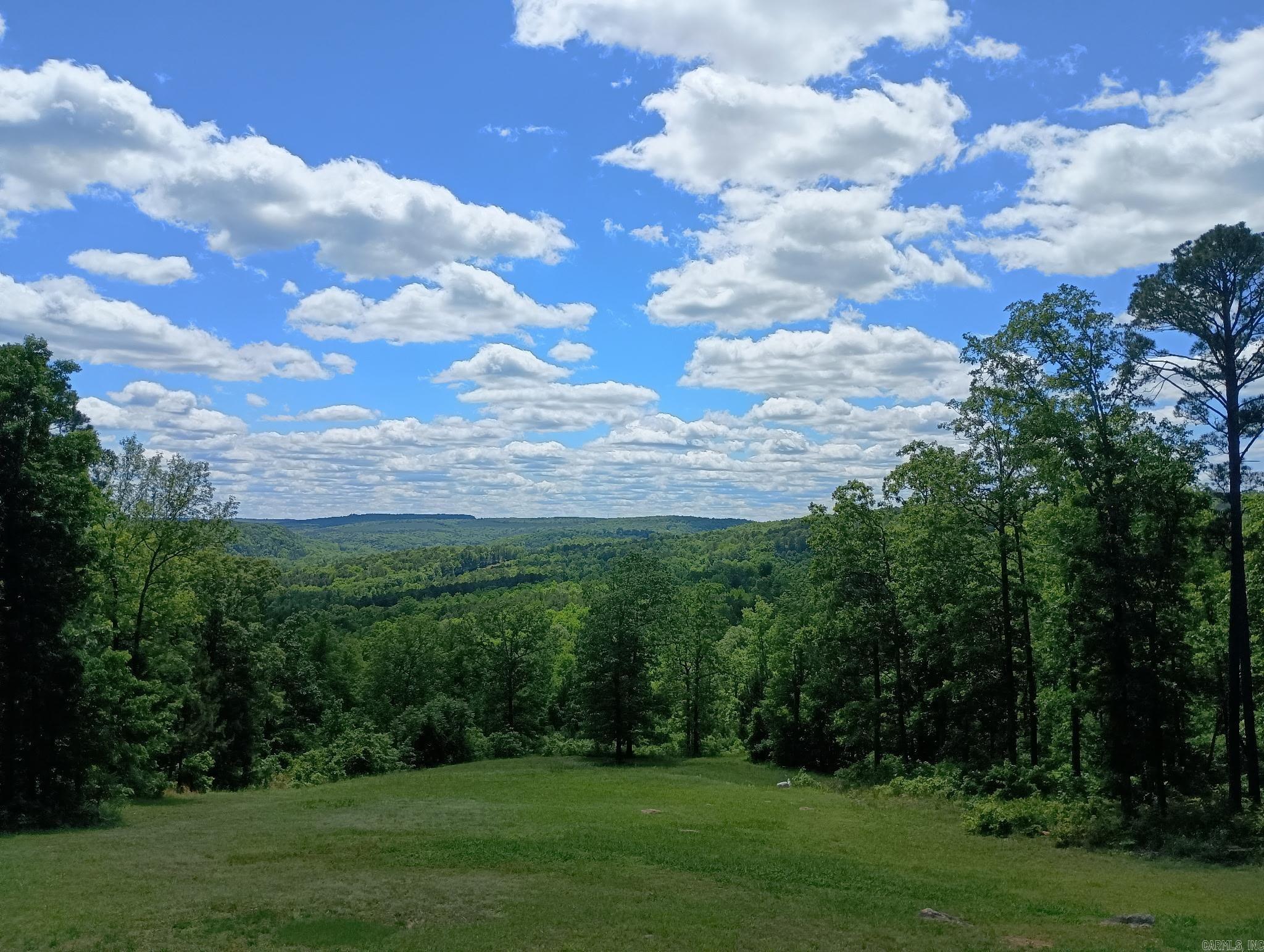 16350 HWY 110 Shirley, AR 72153