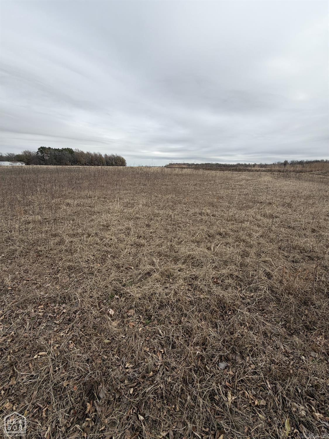 1 South Hwy 91  Walnut Ridge, AR