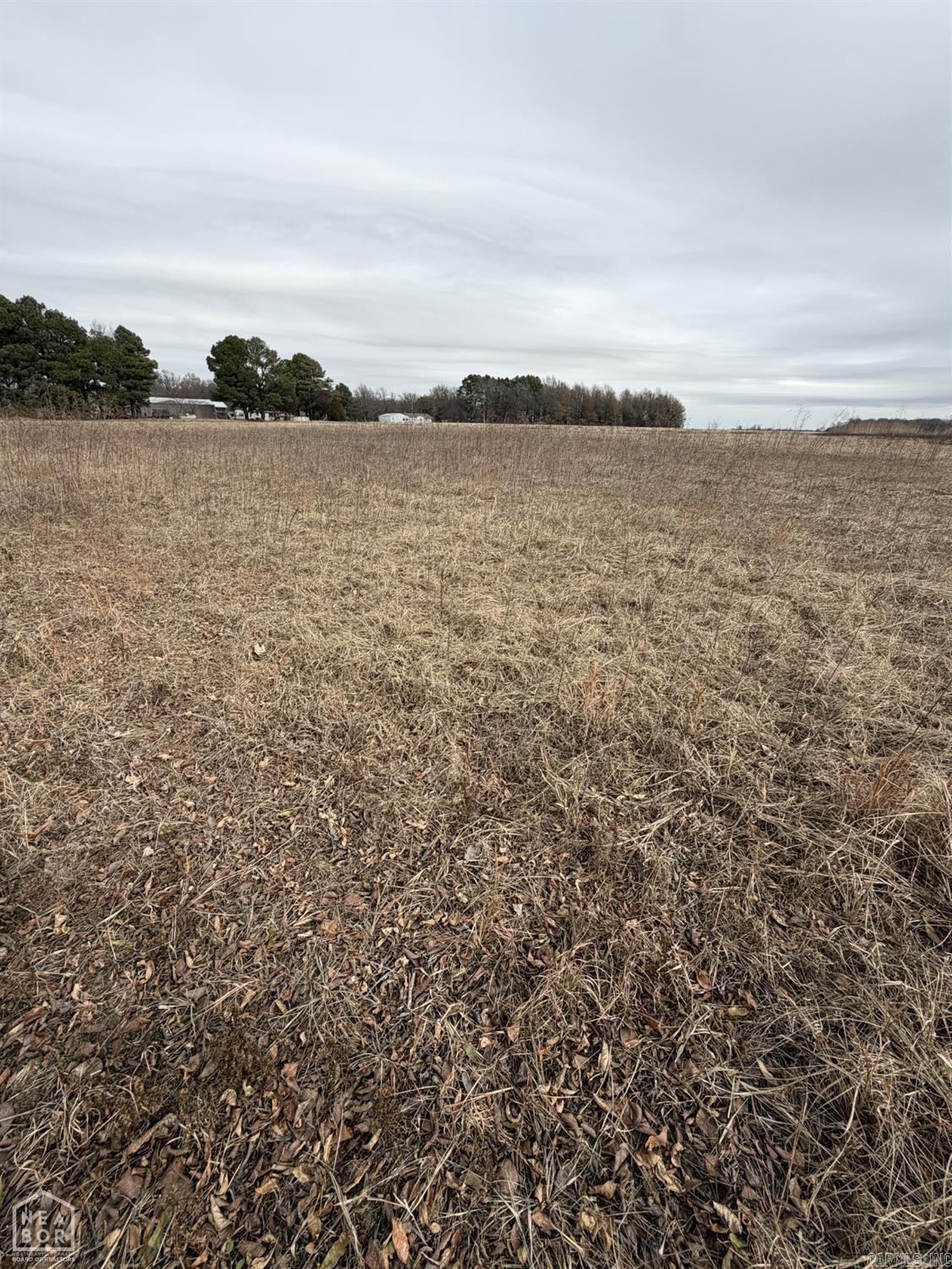 1 South Hwy 91  Walnut Ridge, AR