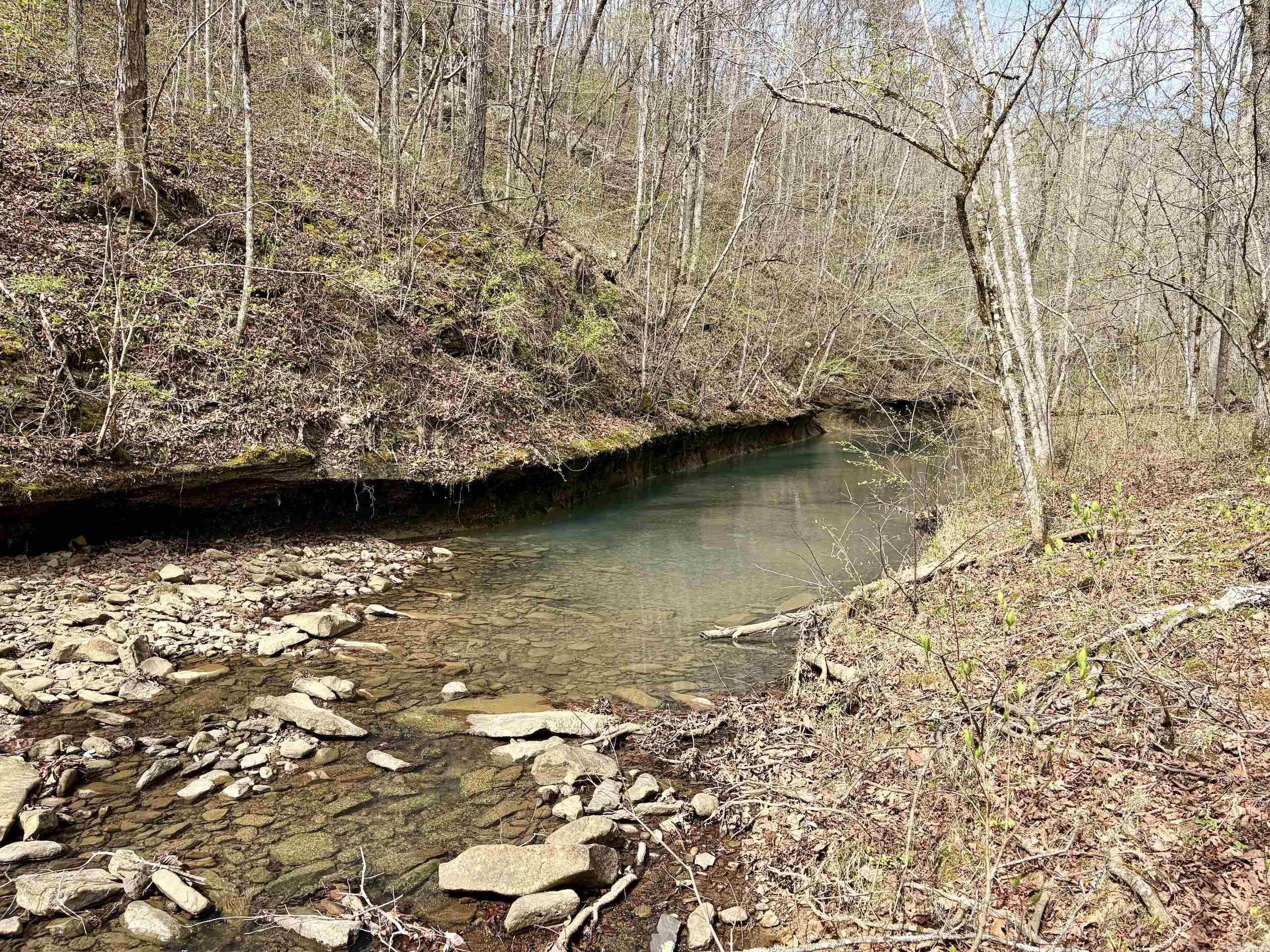 000 Fayette Road  Clinton, AR