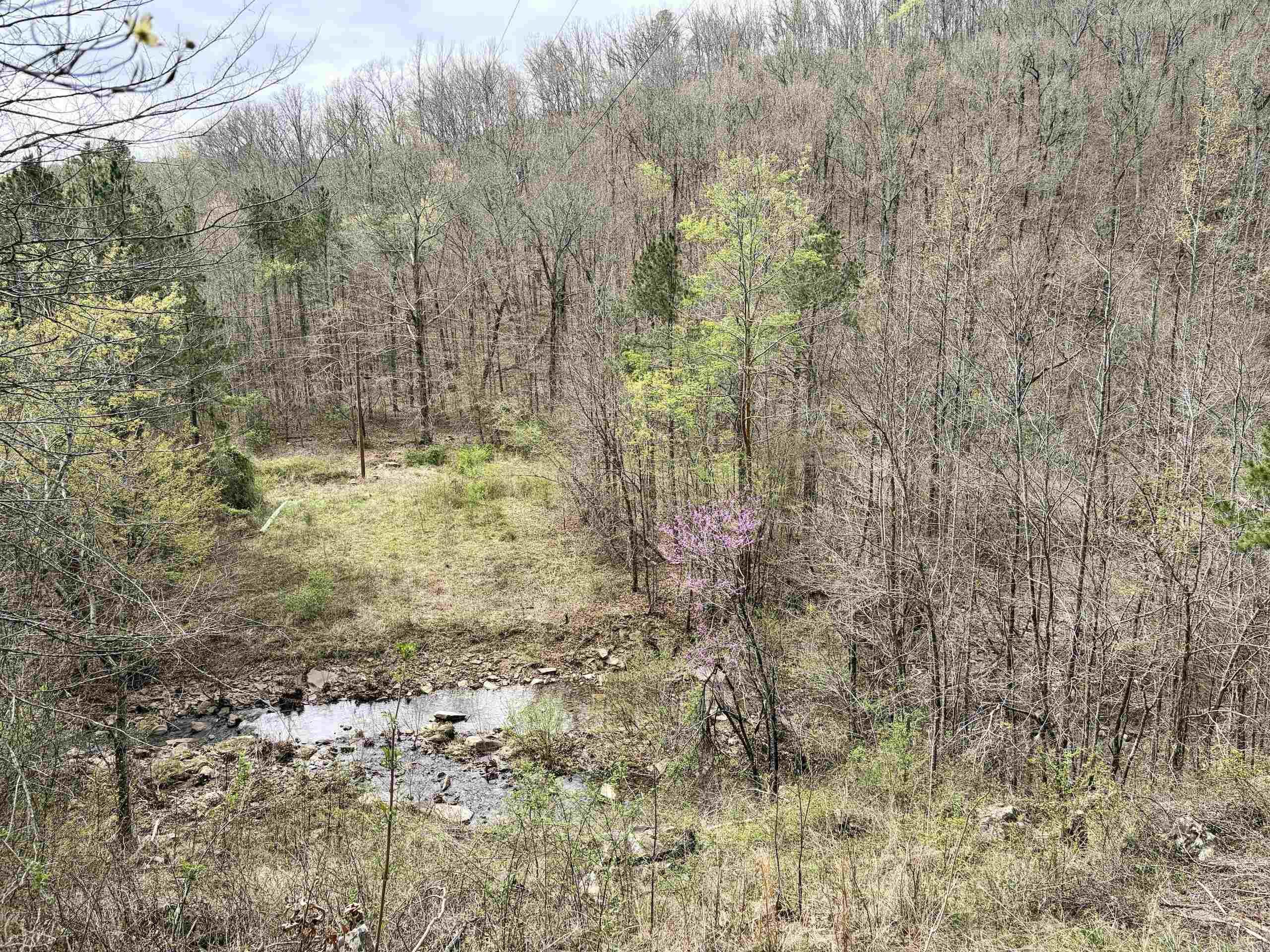 000 Fayette Road  Clinton, AR