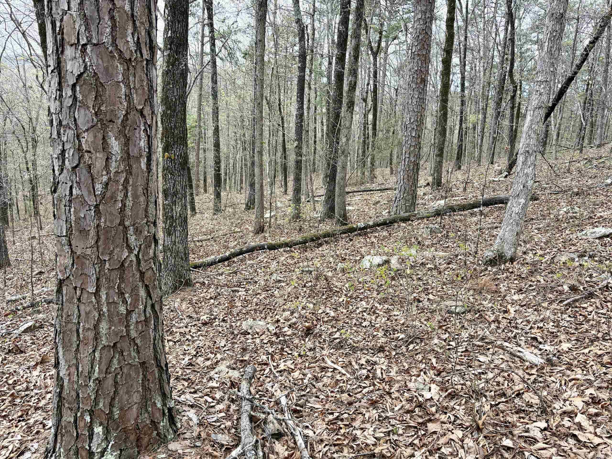 000 Fayette Road  Clinton, AR