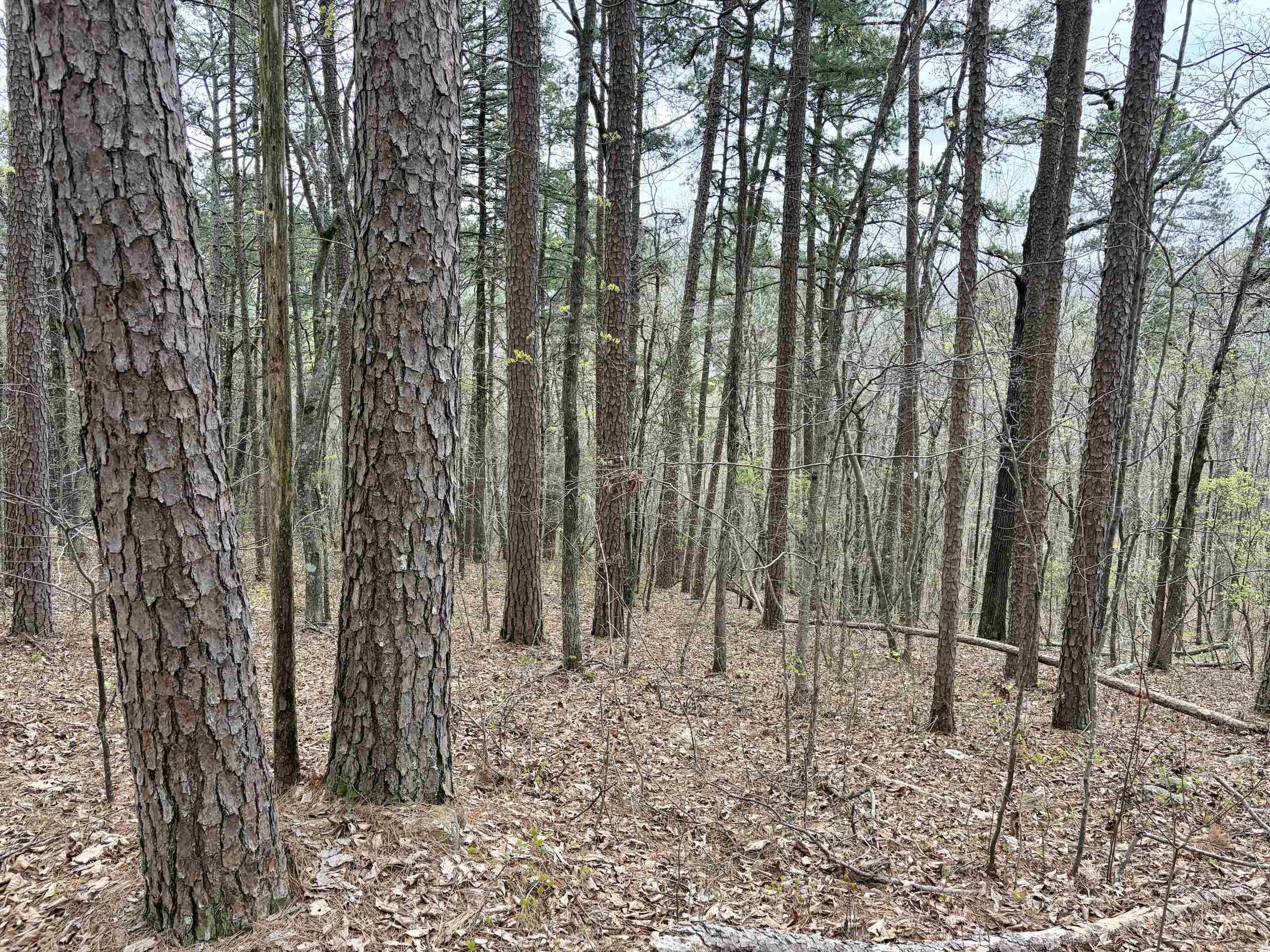 000 Fayette Road  Clinton, AR