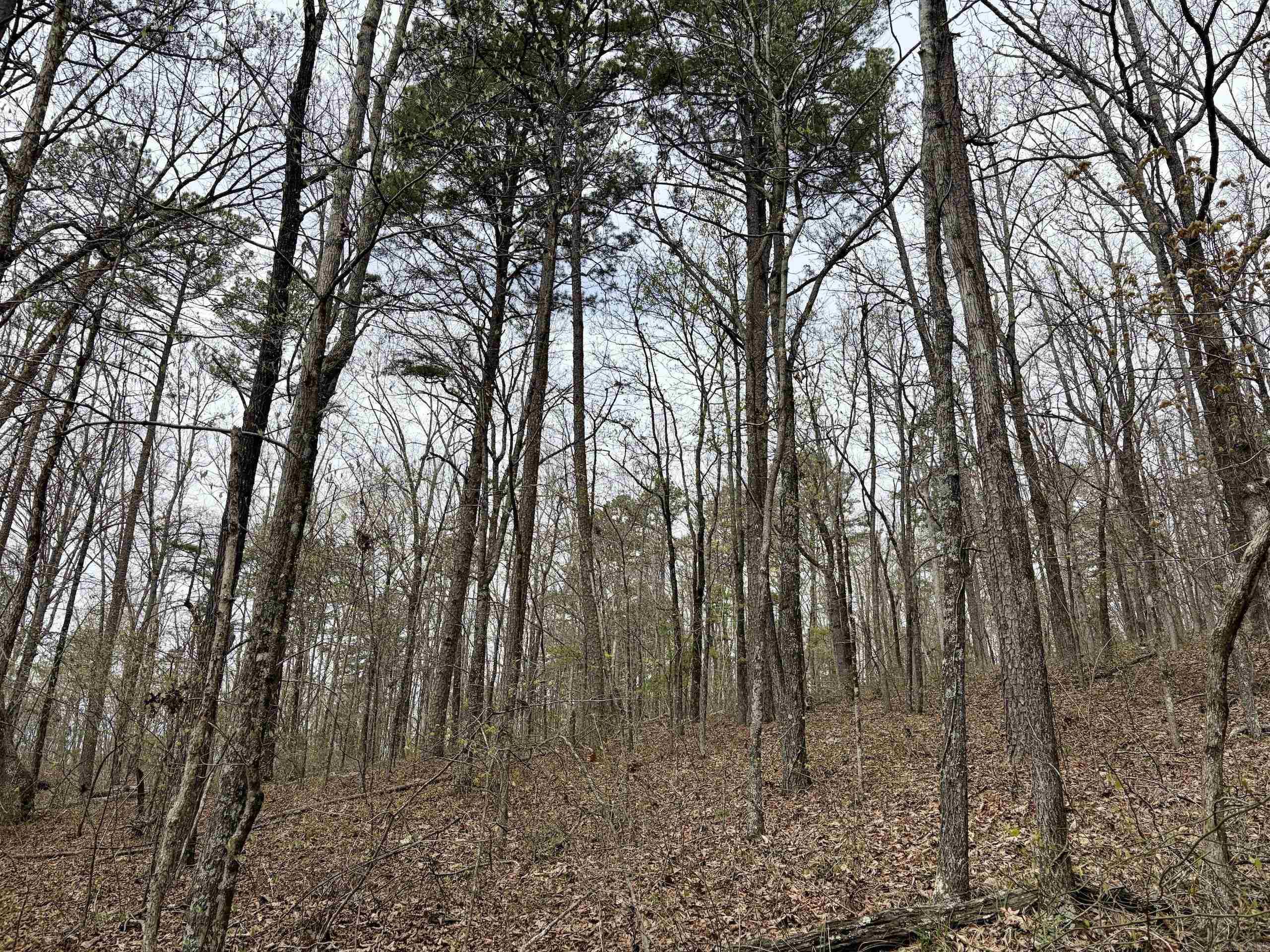 000 Fayette Road  Clinton, AR