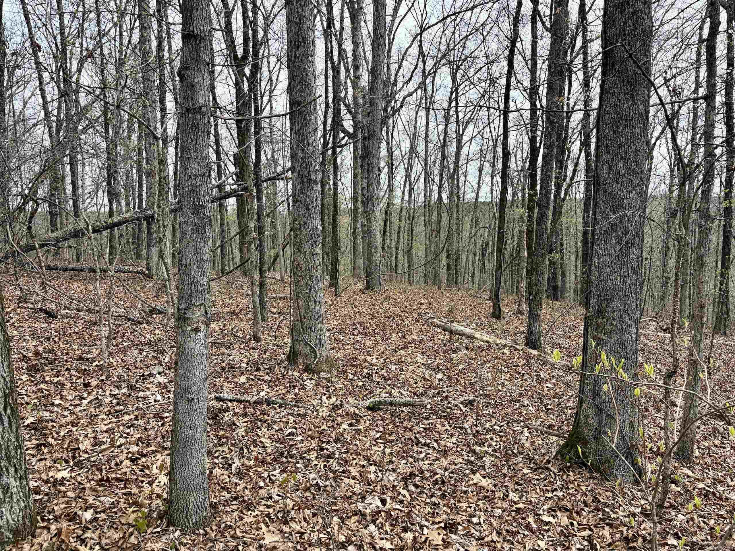 000 Fayette Road  Clinton, AR