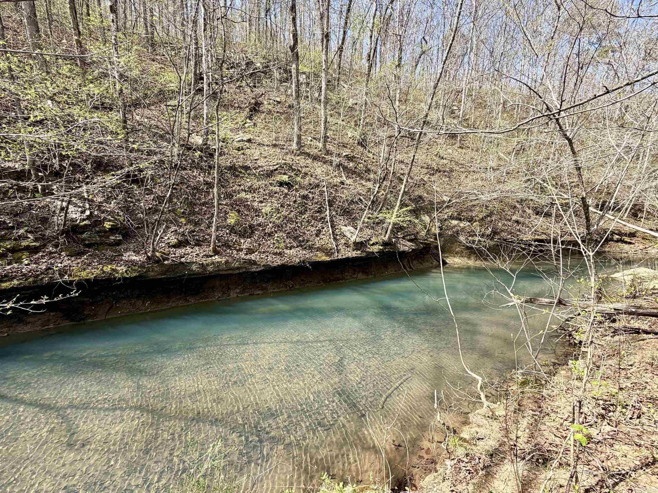 000 Fayette Road  Clinton, AR