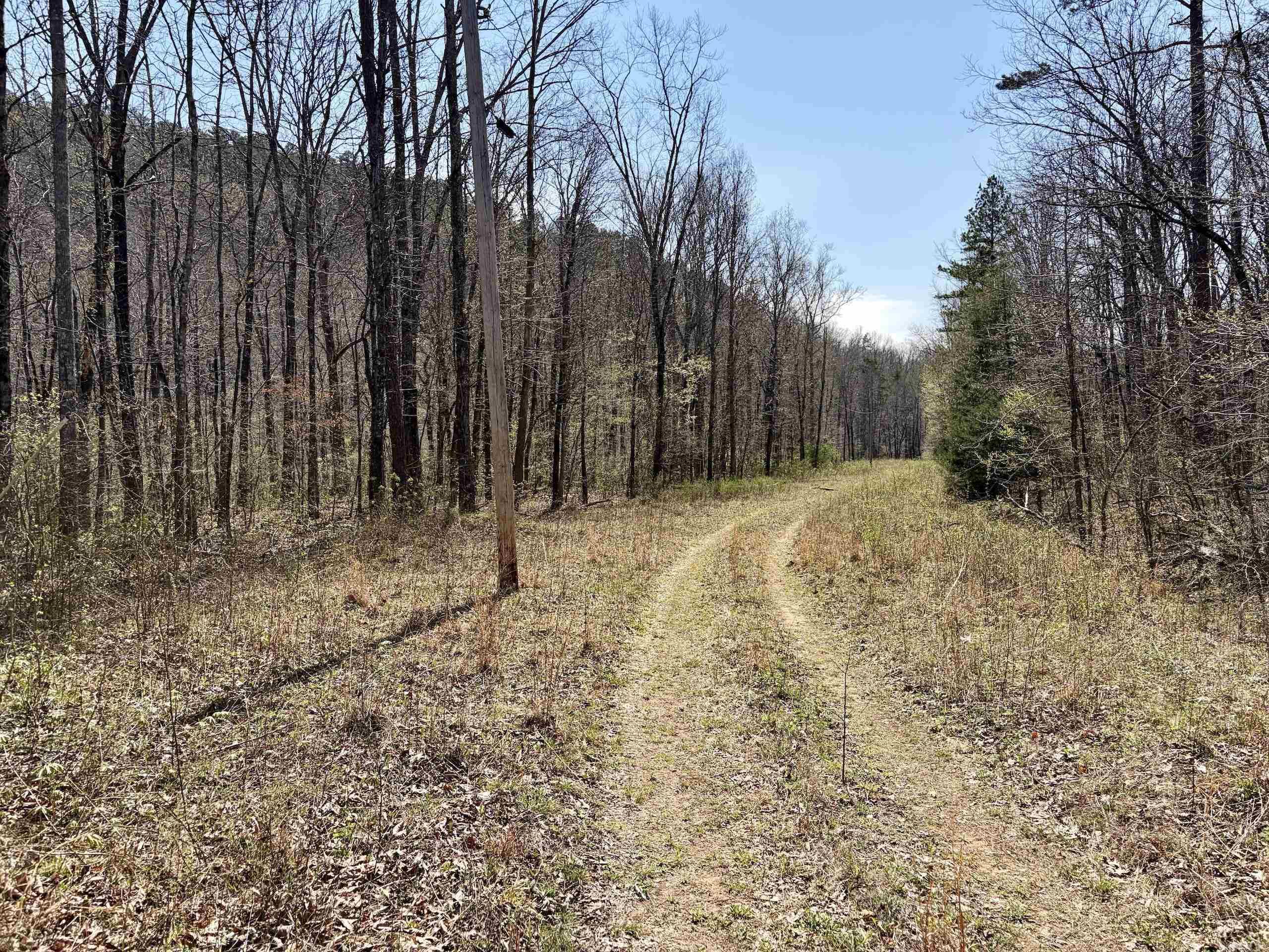 000 Fayette Road  Clinton, AR