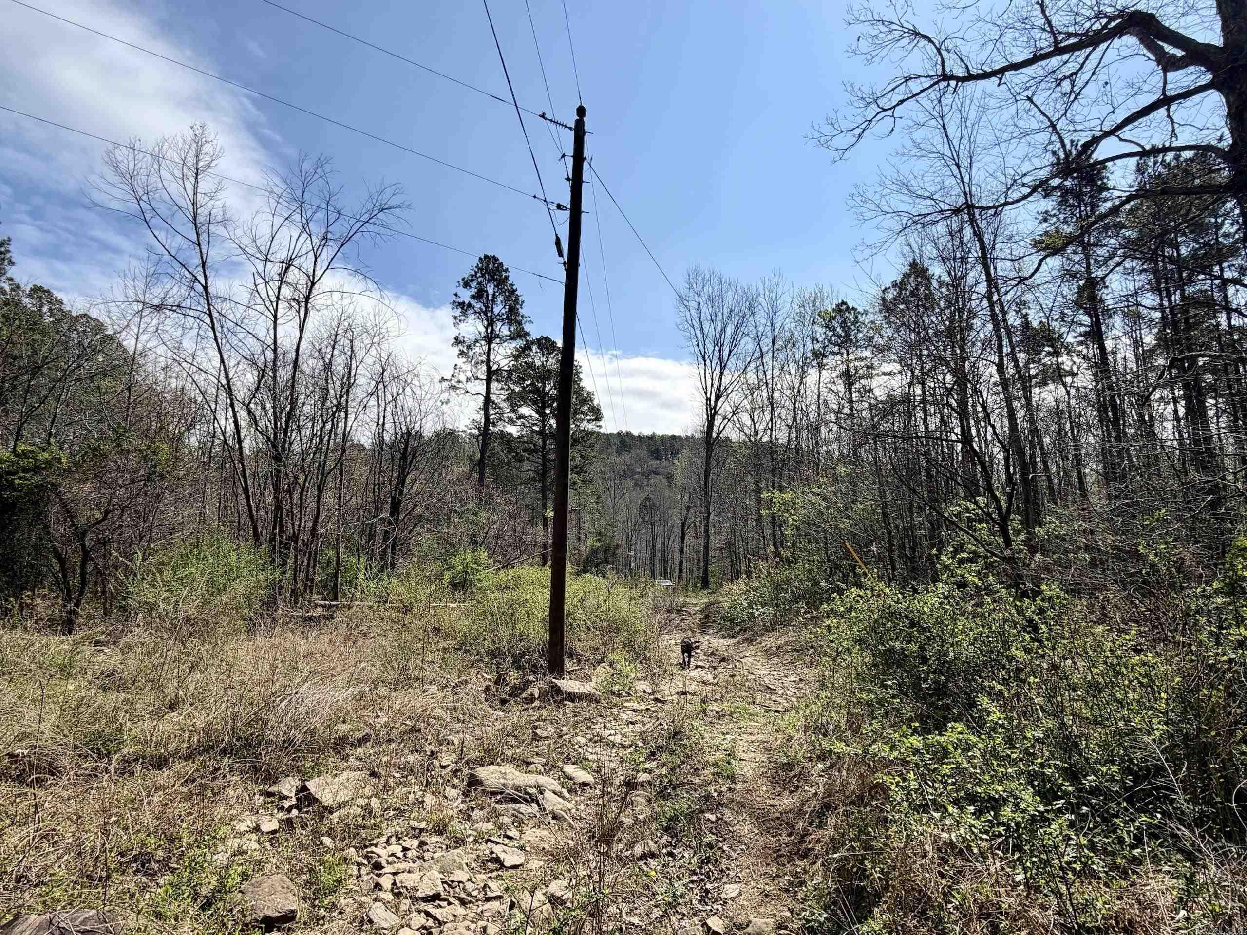 000 Fayette Road  Clinton, AR