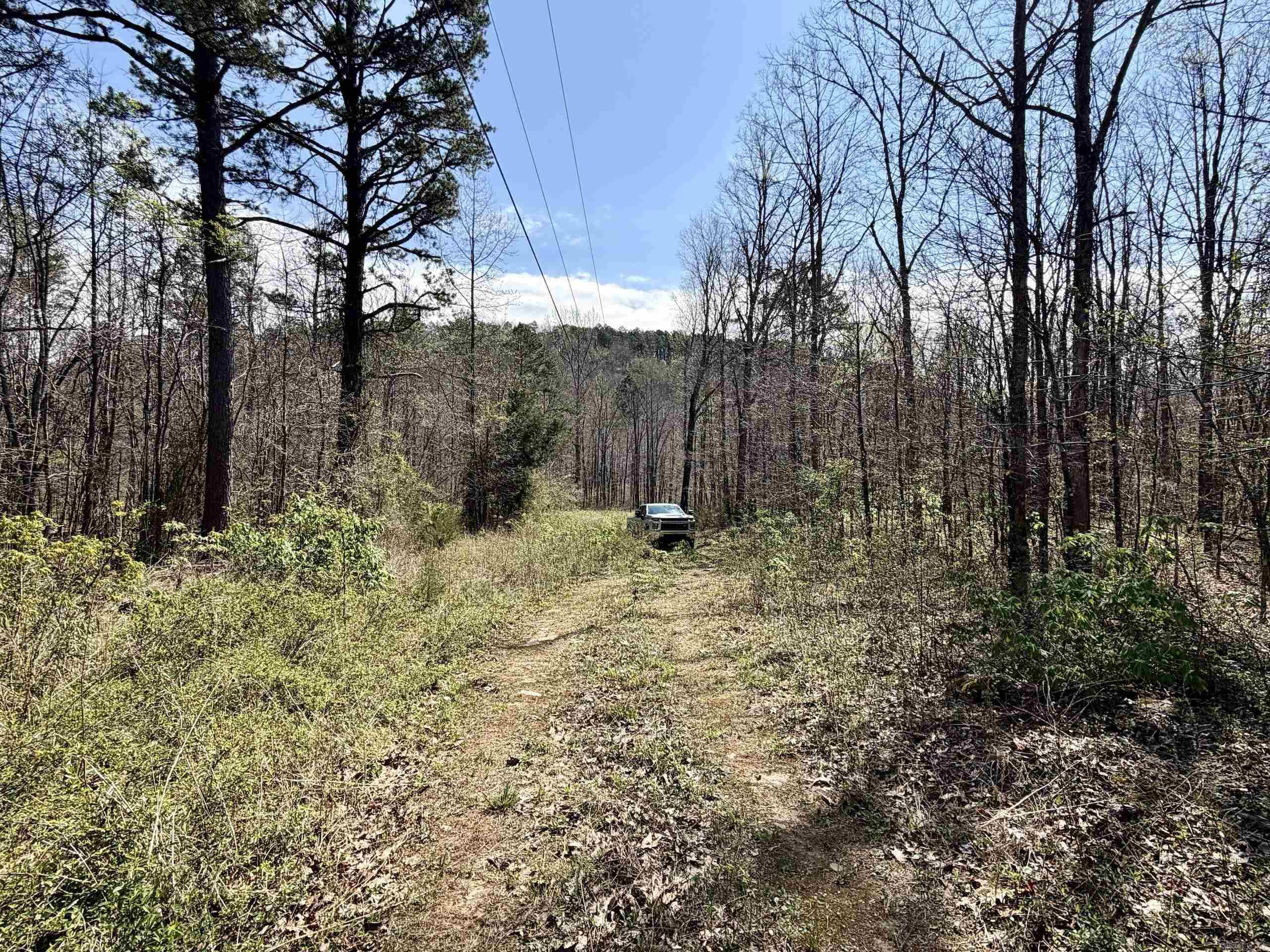 000 Fayette Road  Clinton, AR