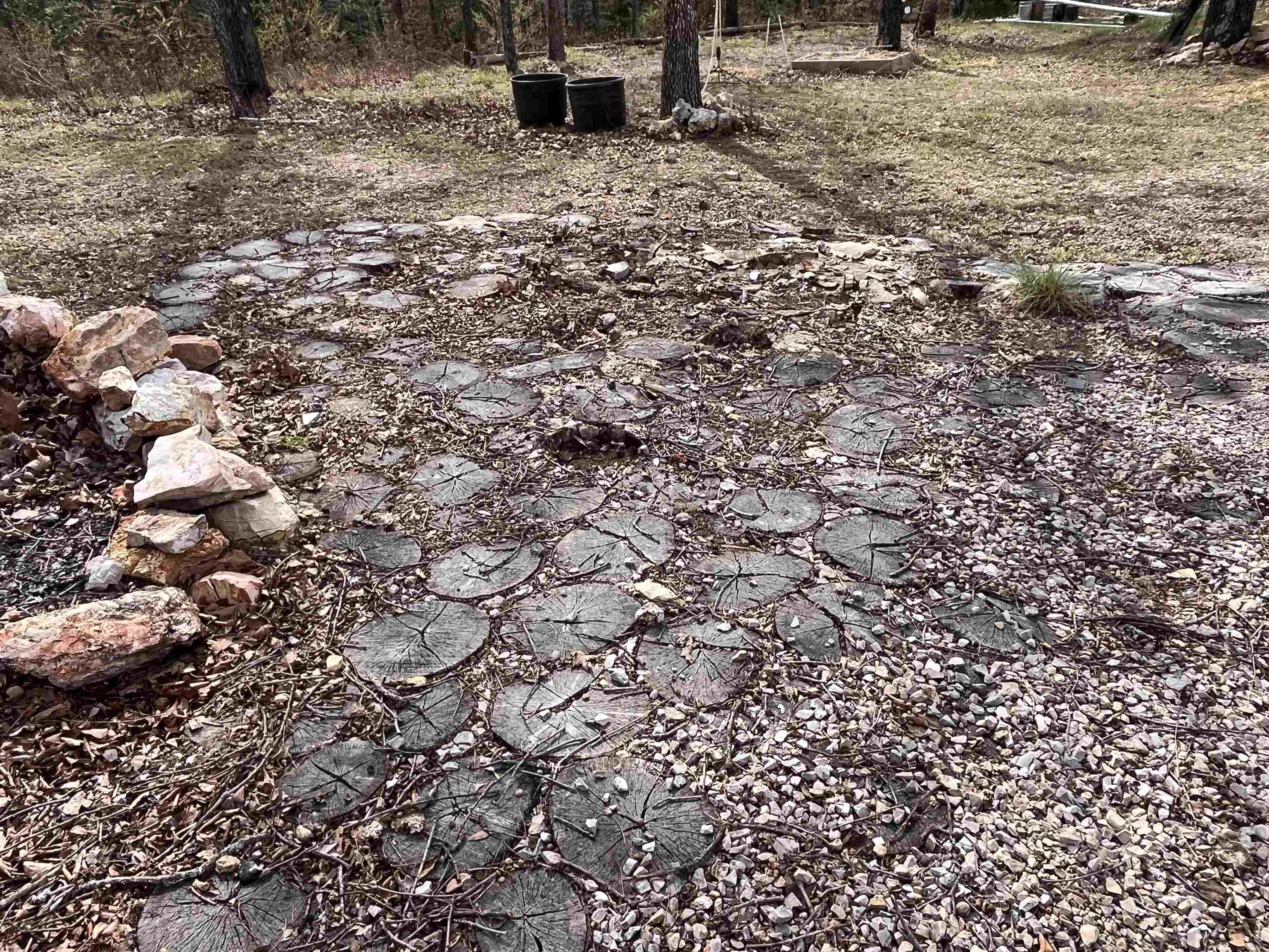 1170 county road 255 Thayer, MO 65791-9999