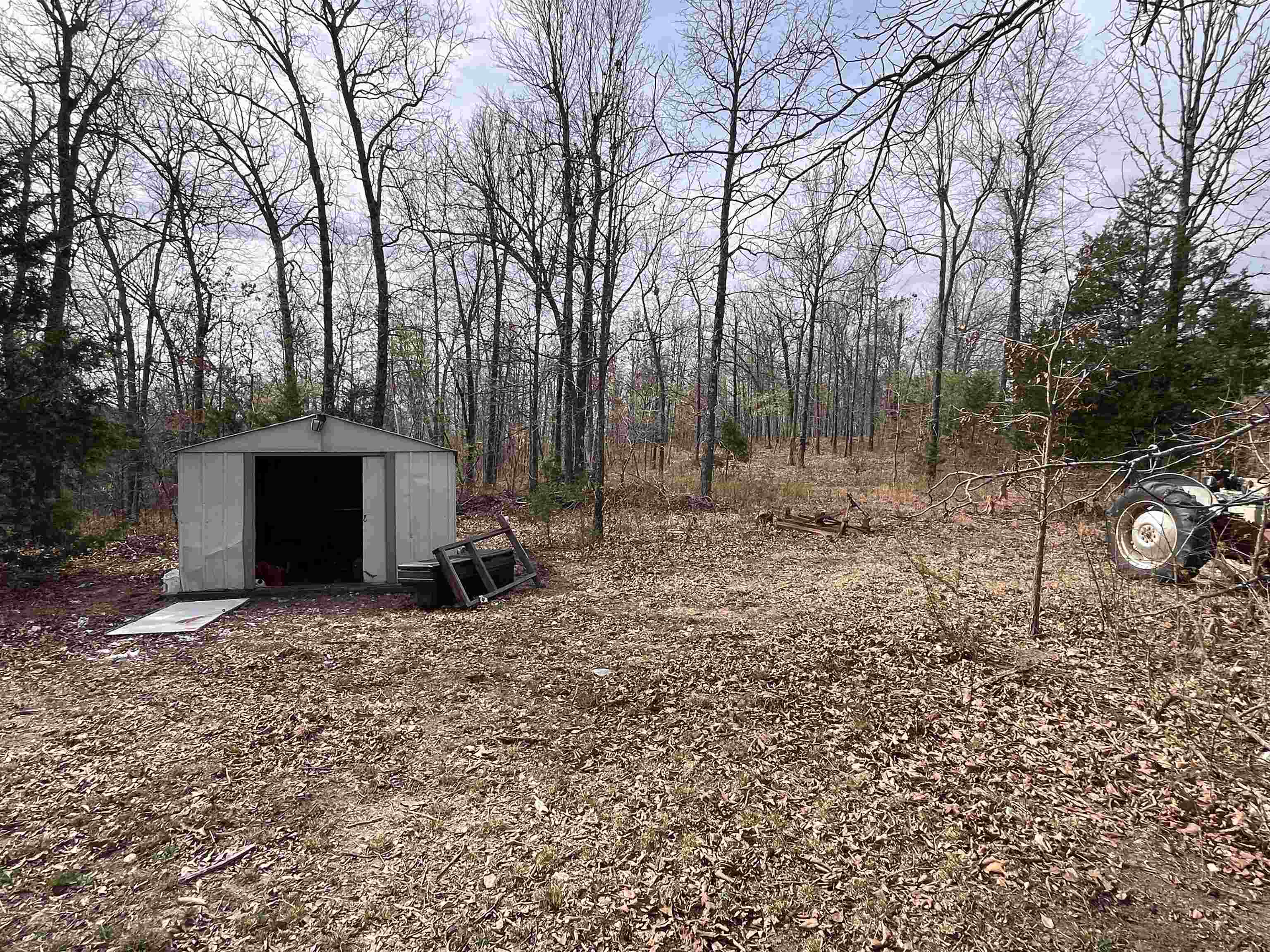 1170 county road 255 Thayer, MO 65791-9999