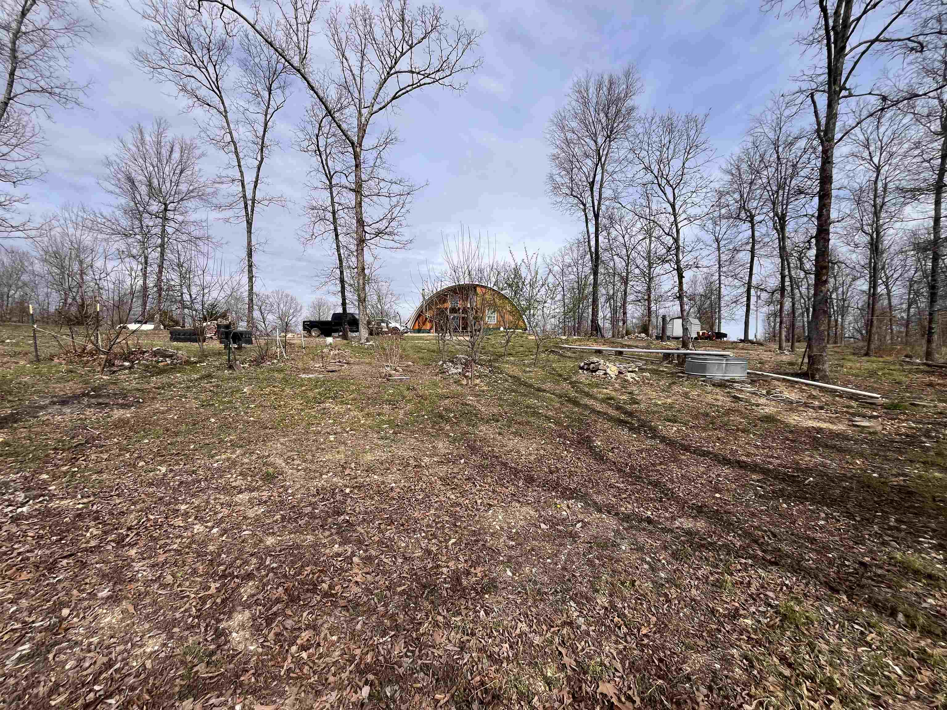 1170 county road 255 Thayer, MO 65791-9999