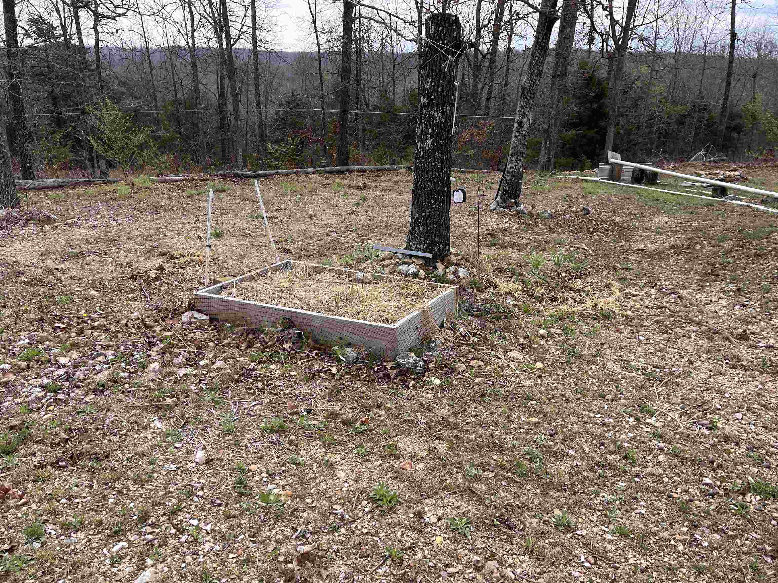 1170 county road 255 Thayer, MO 65791-9999