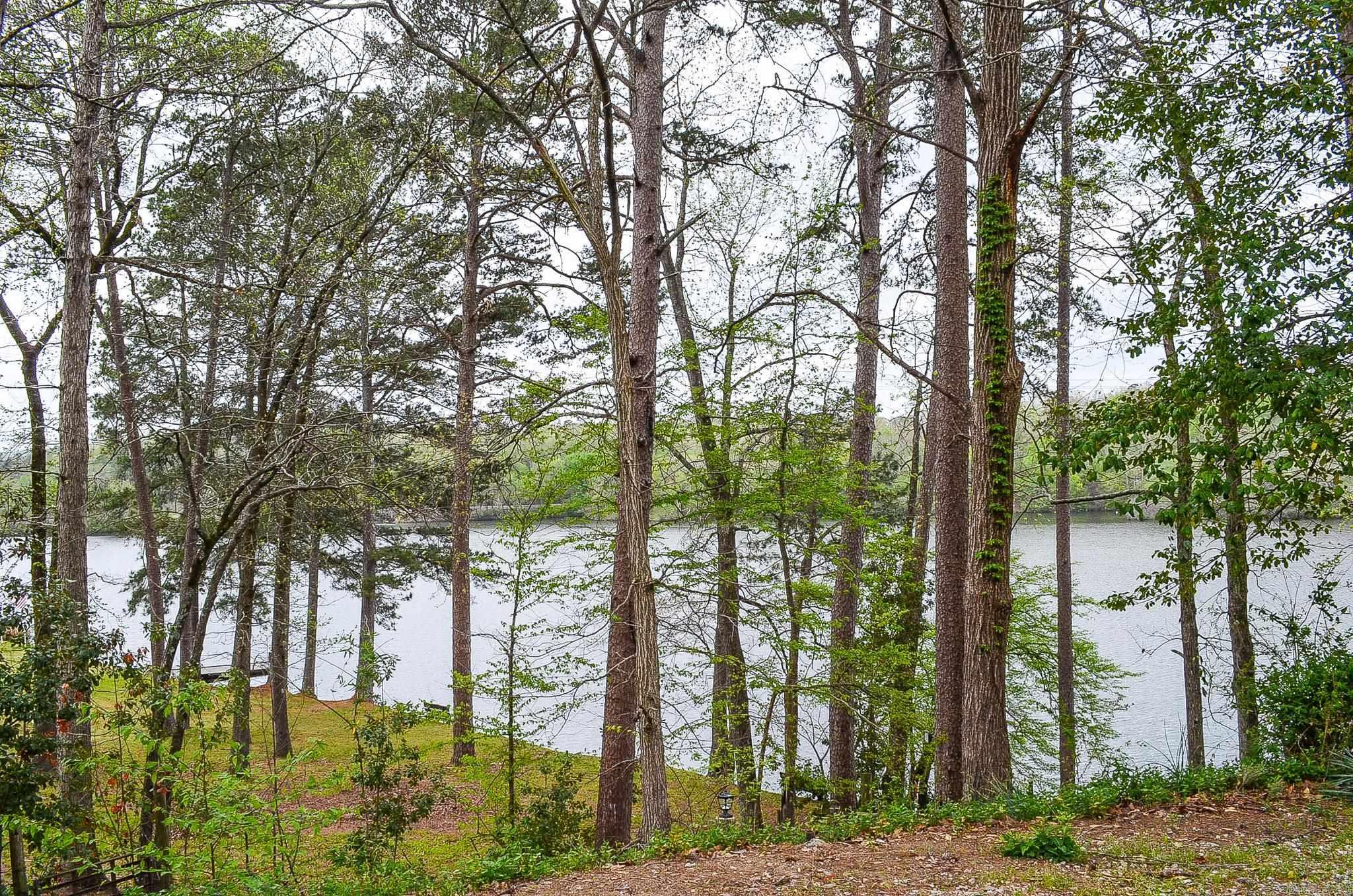 103 Bayshore Drive Magnet Cove, AR 72104