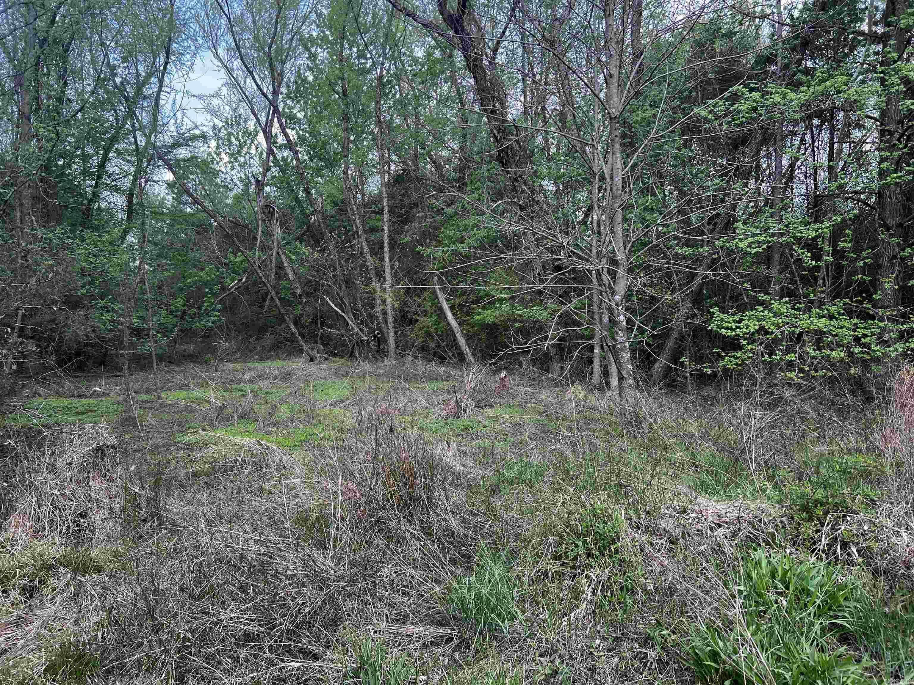 000 N Jackson  Russellville, AR