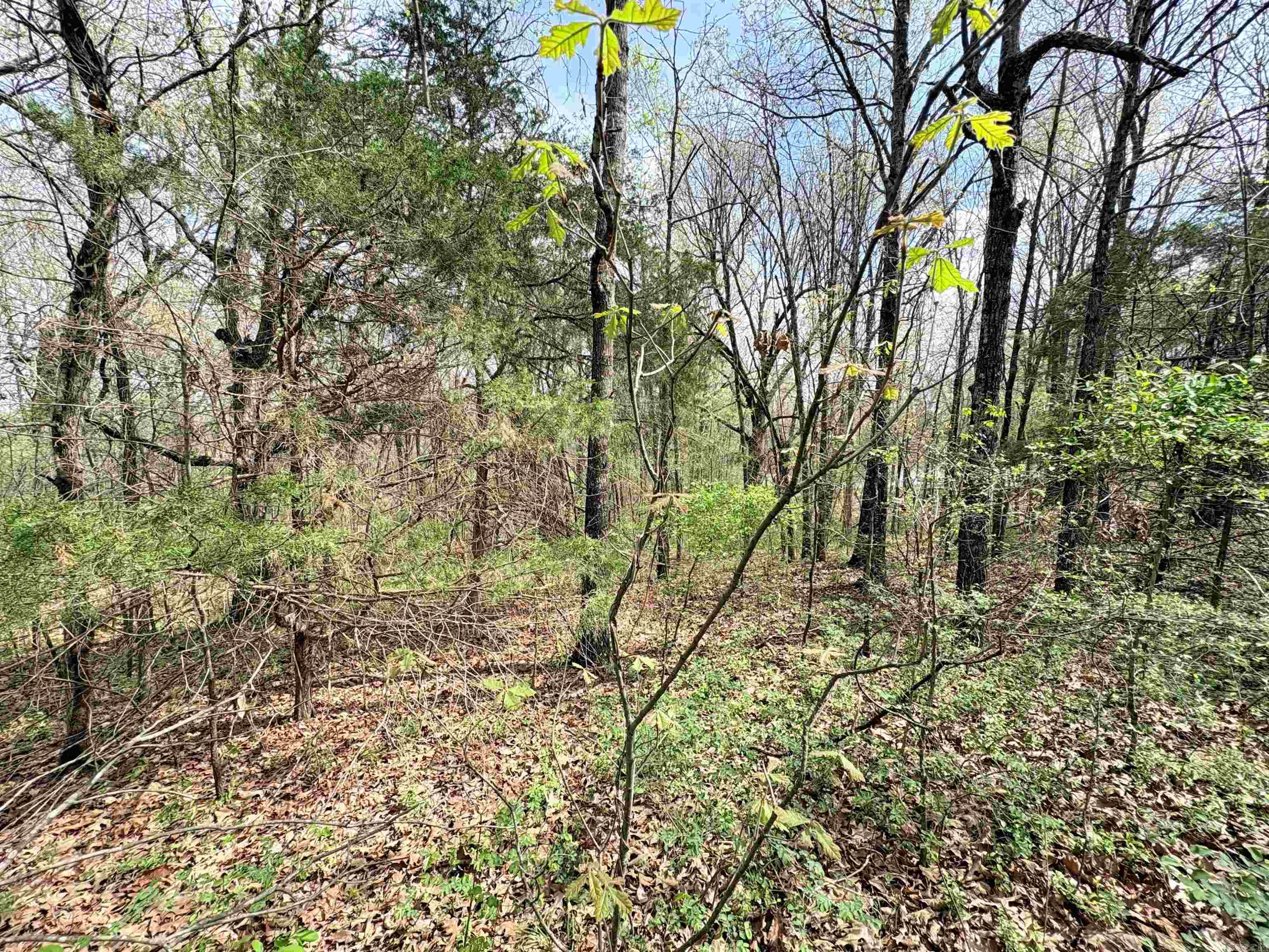 42 Clay 43  Corning, AR