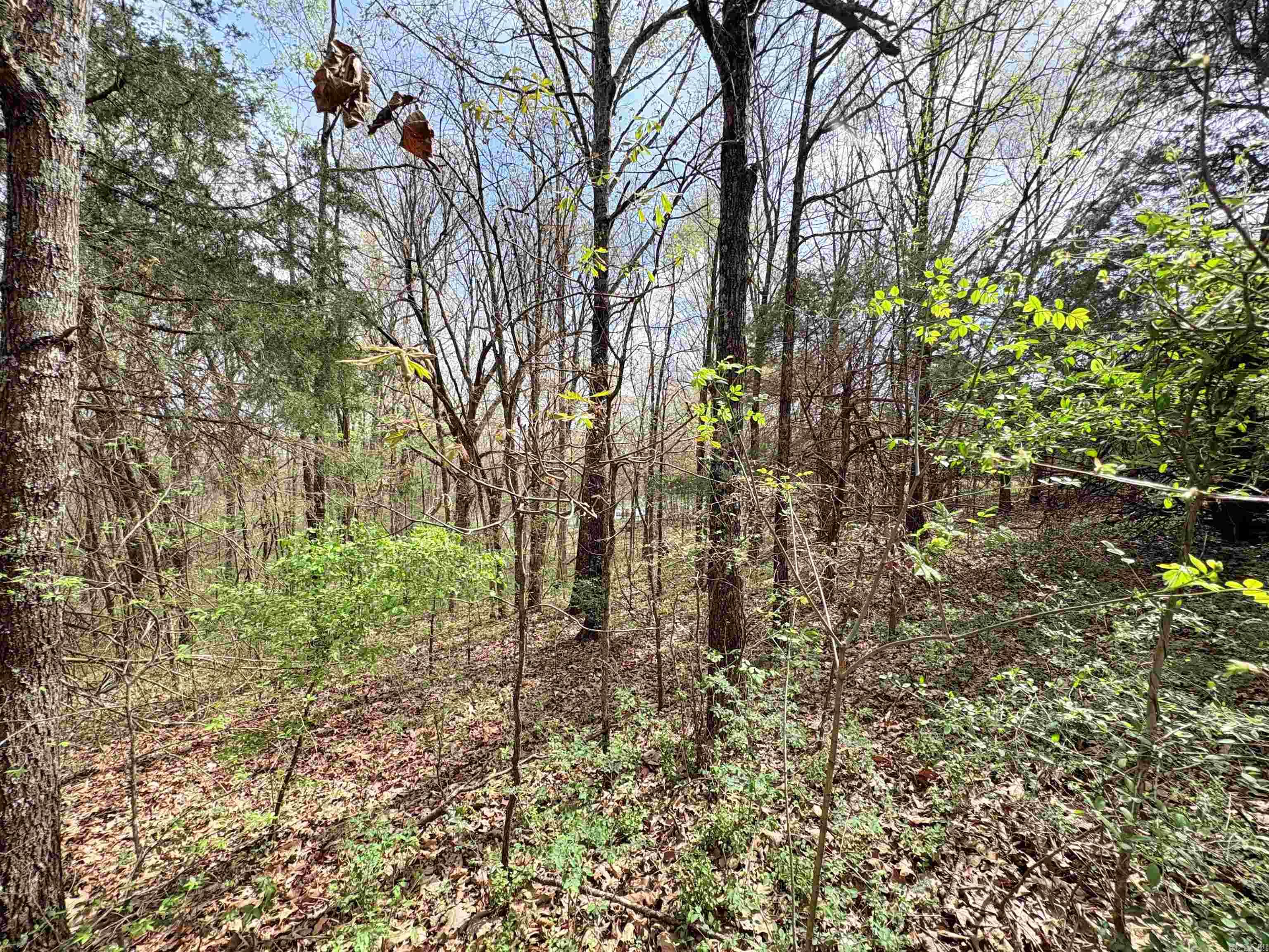 42 Clay 43  Corning, AR