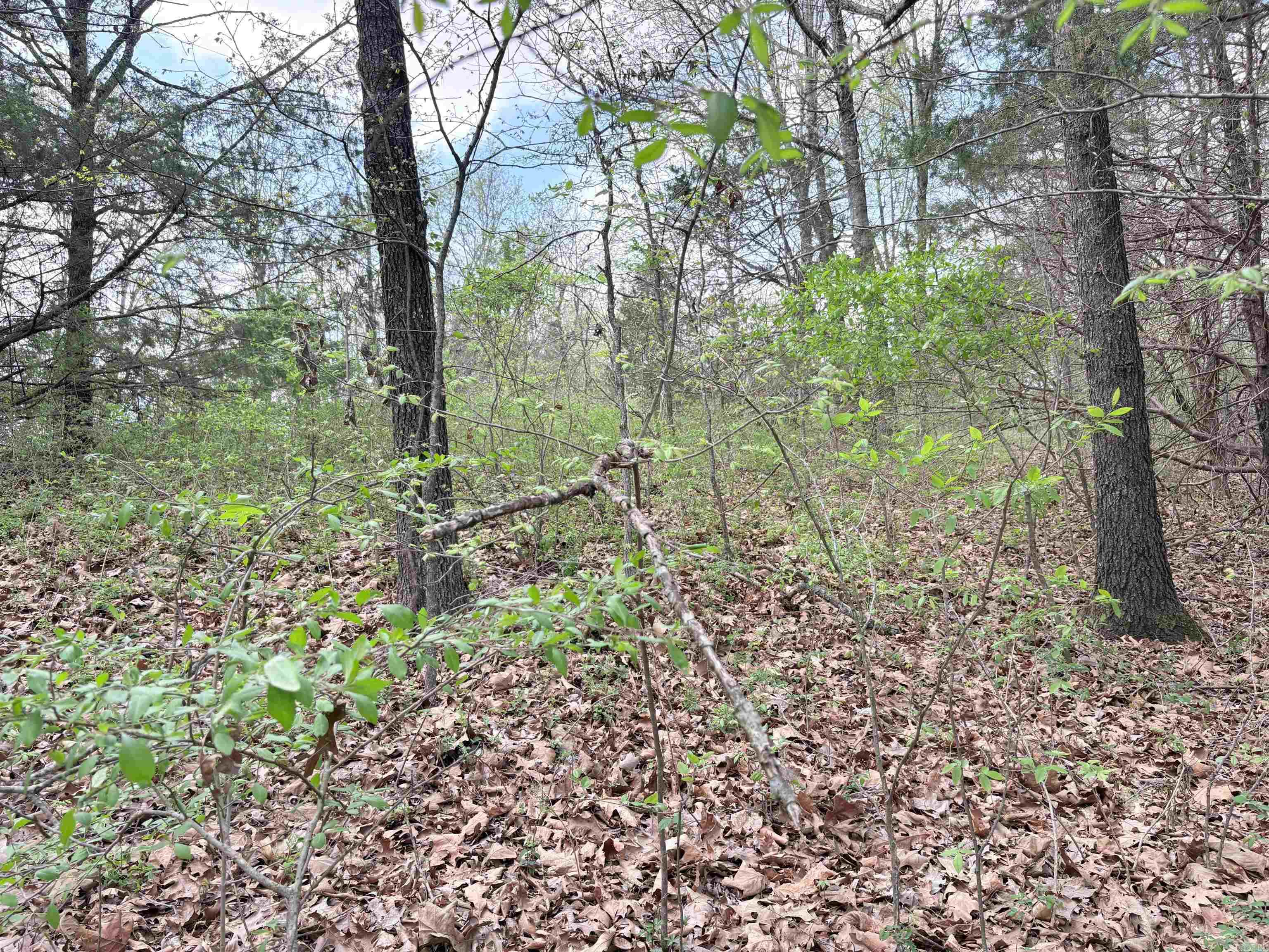 42 Clay 43  Corning, AR