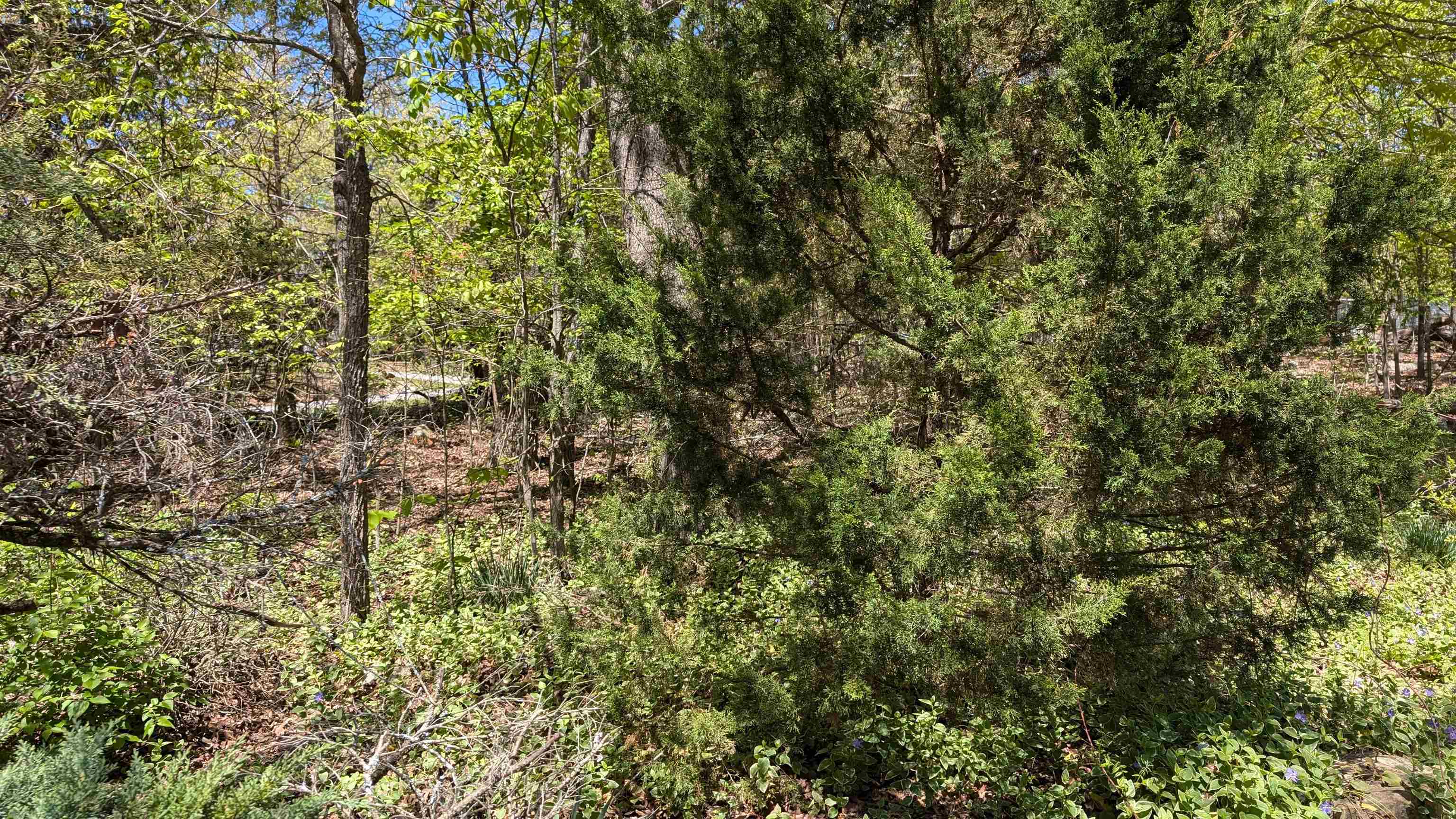 1012 Fairwater  Horseshoe Bend, AR