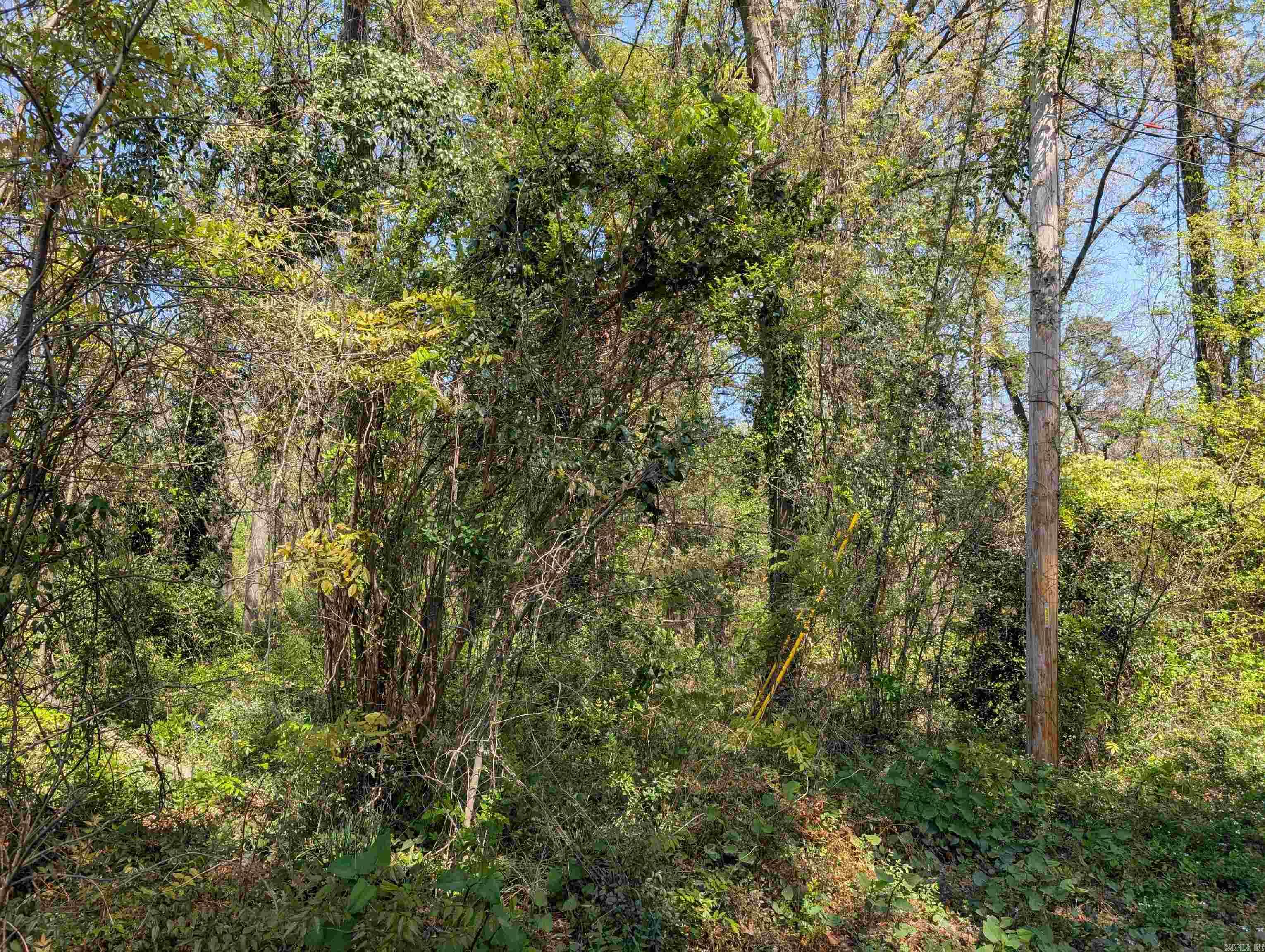 1906 Deerfield  Benton, AR