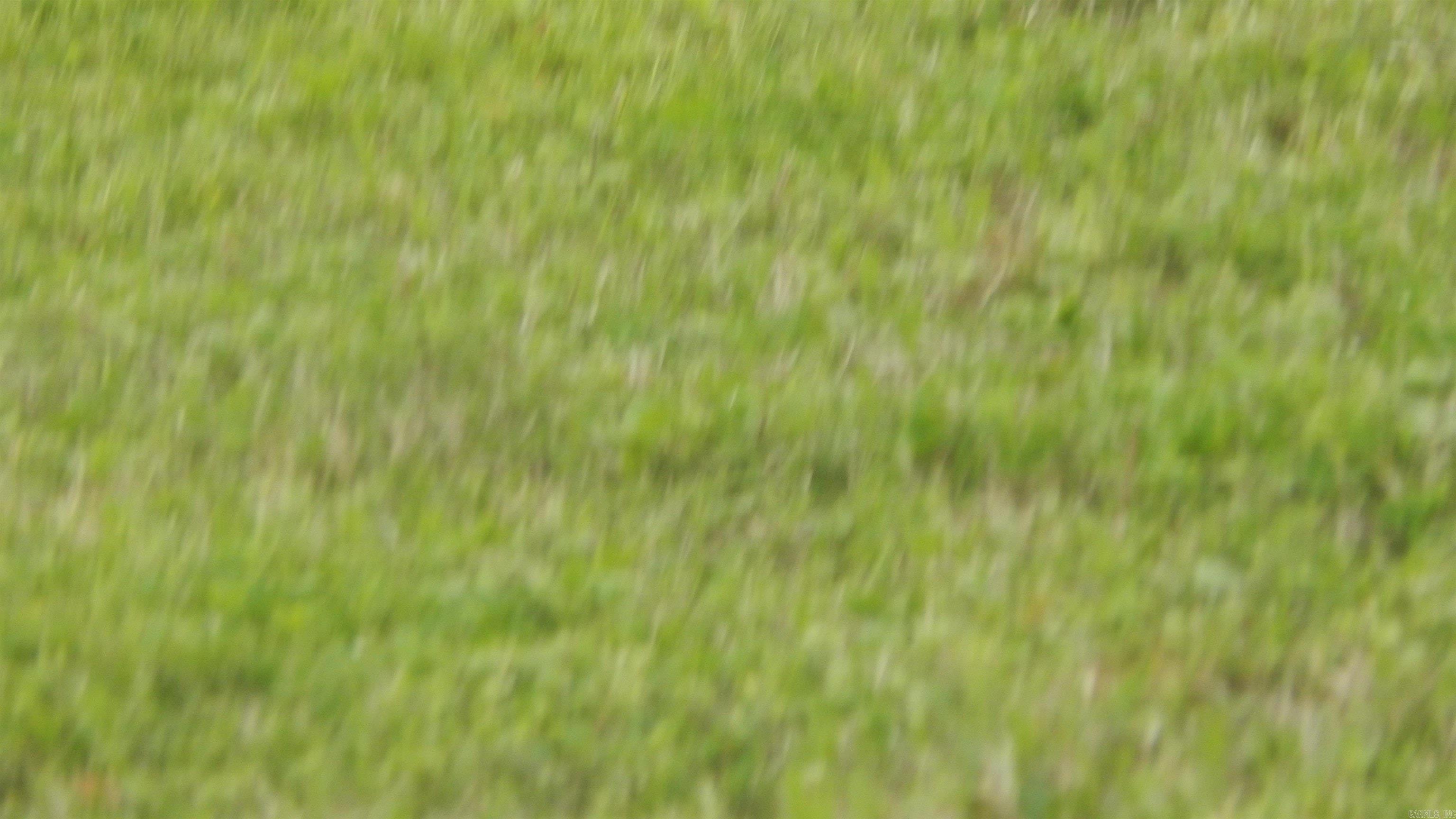  Slinker  Hensley, AR