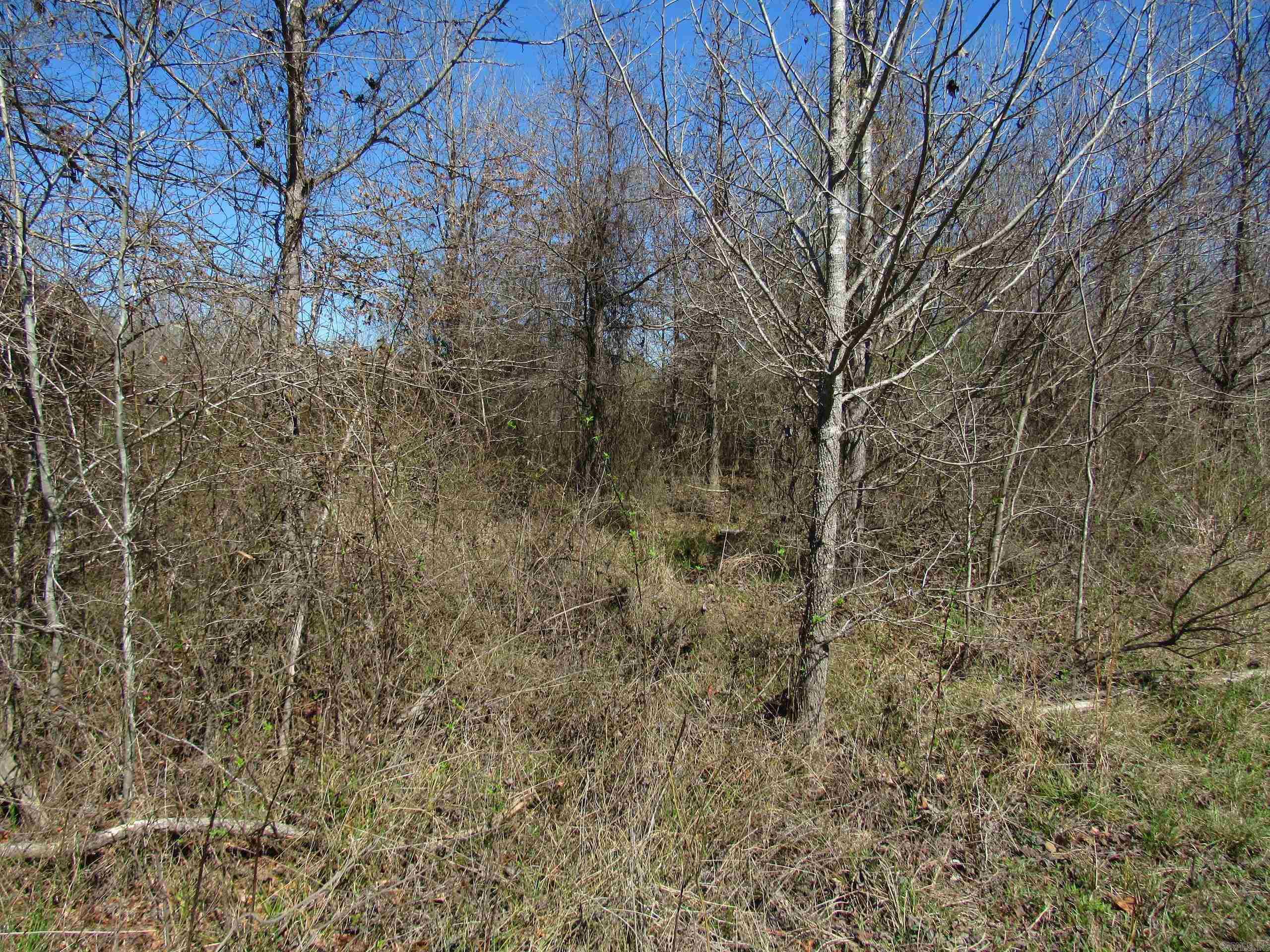 000 Camden Hwy  Prescott, AR