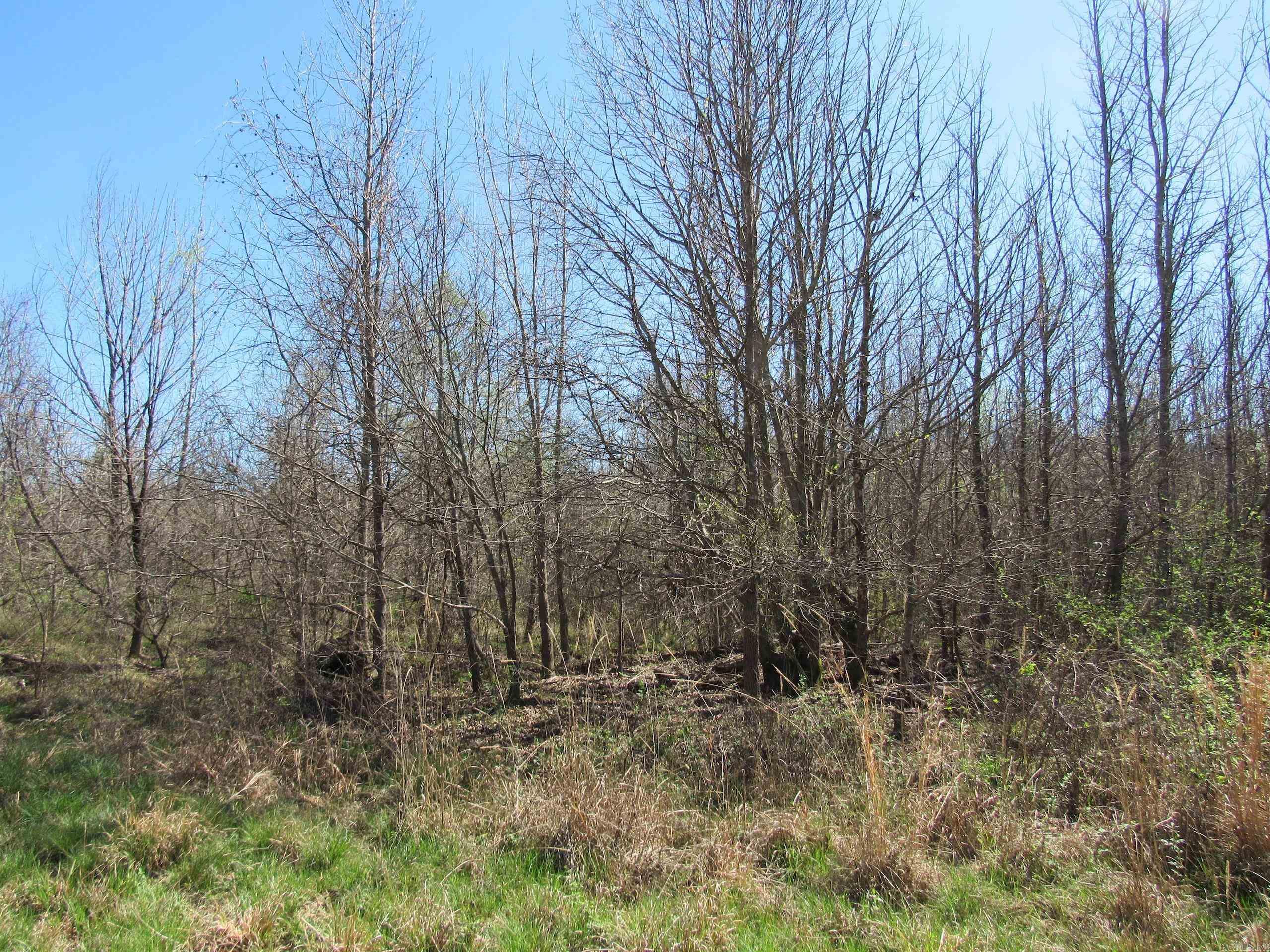 000 Camden Hwy  Prescott, AR