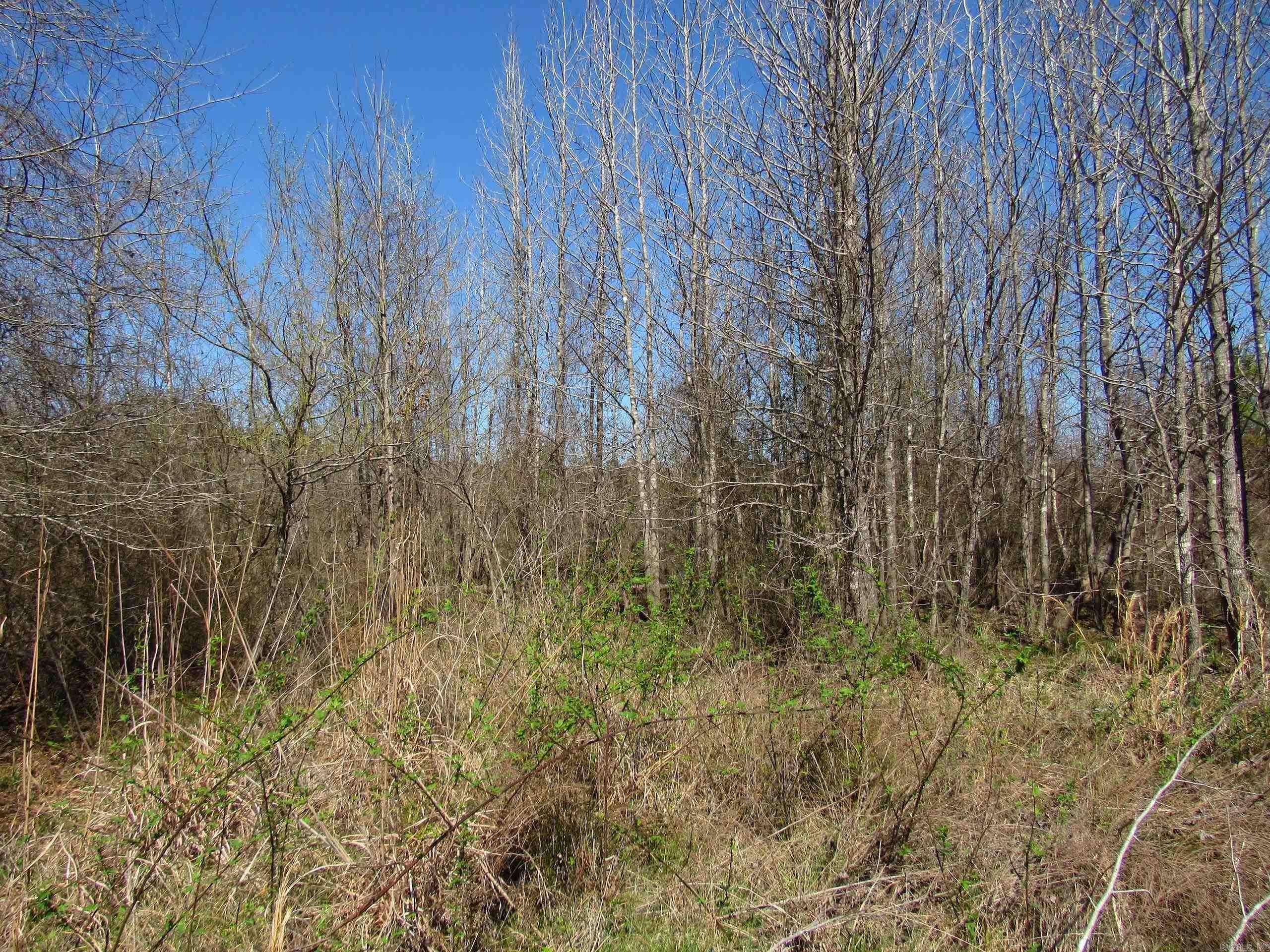 000 Camden Hwy  Prescott, AR