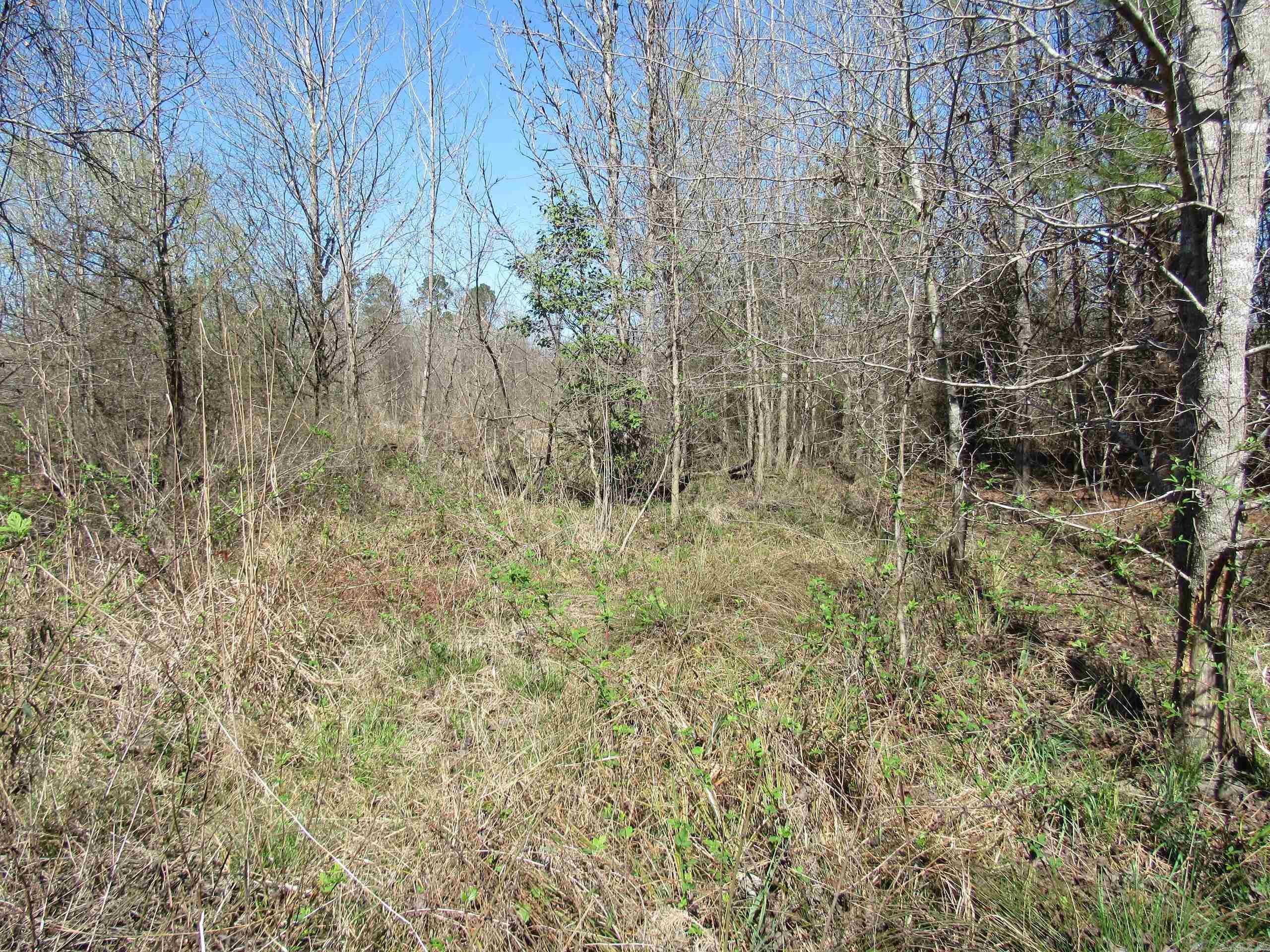 000 Camden Hwy  Prescott, AR