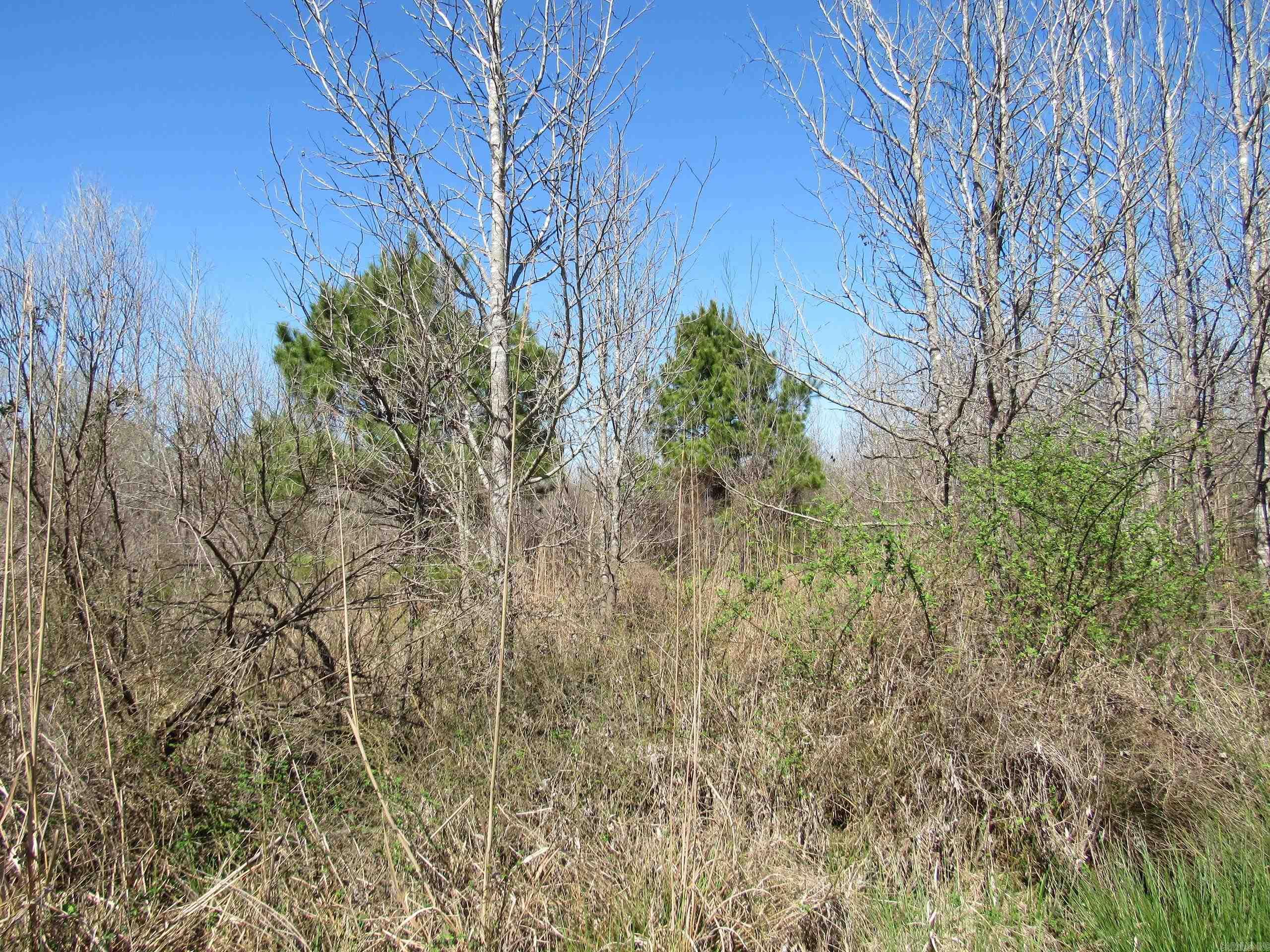 000 Camden Hwy  Prescott, AR