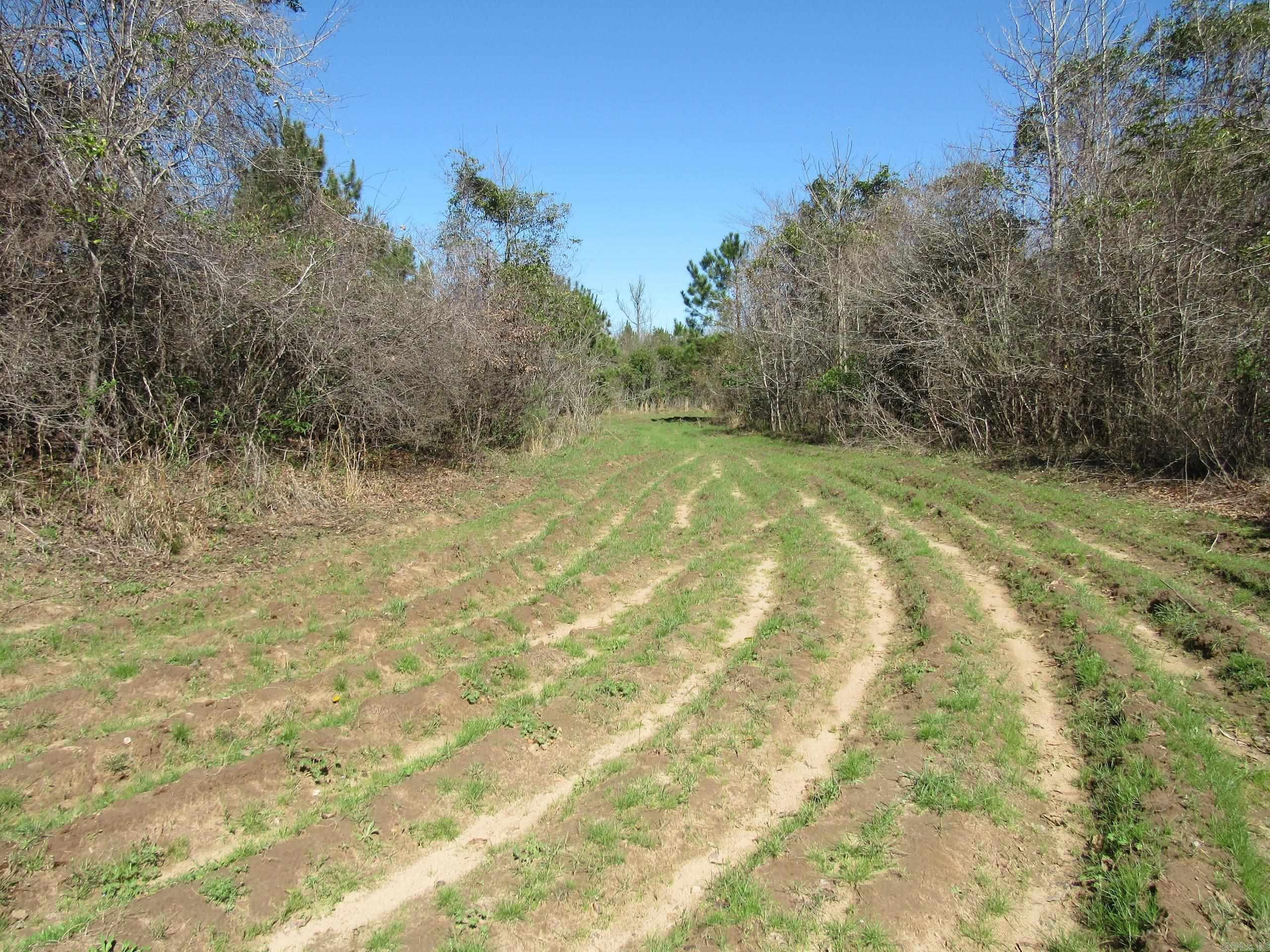 000 Camden Hwy  Prescott, AR