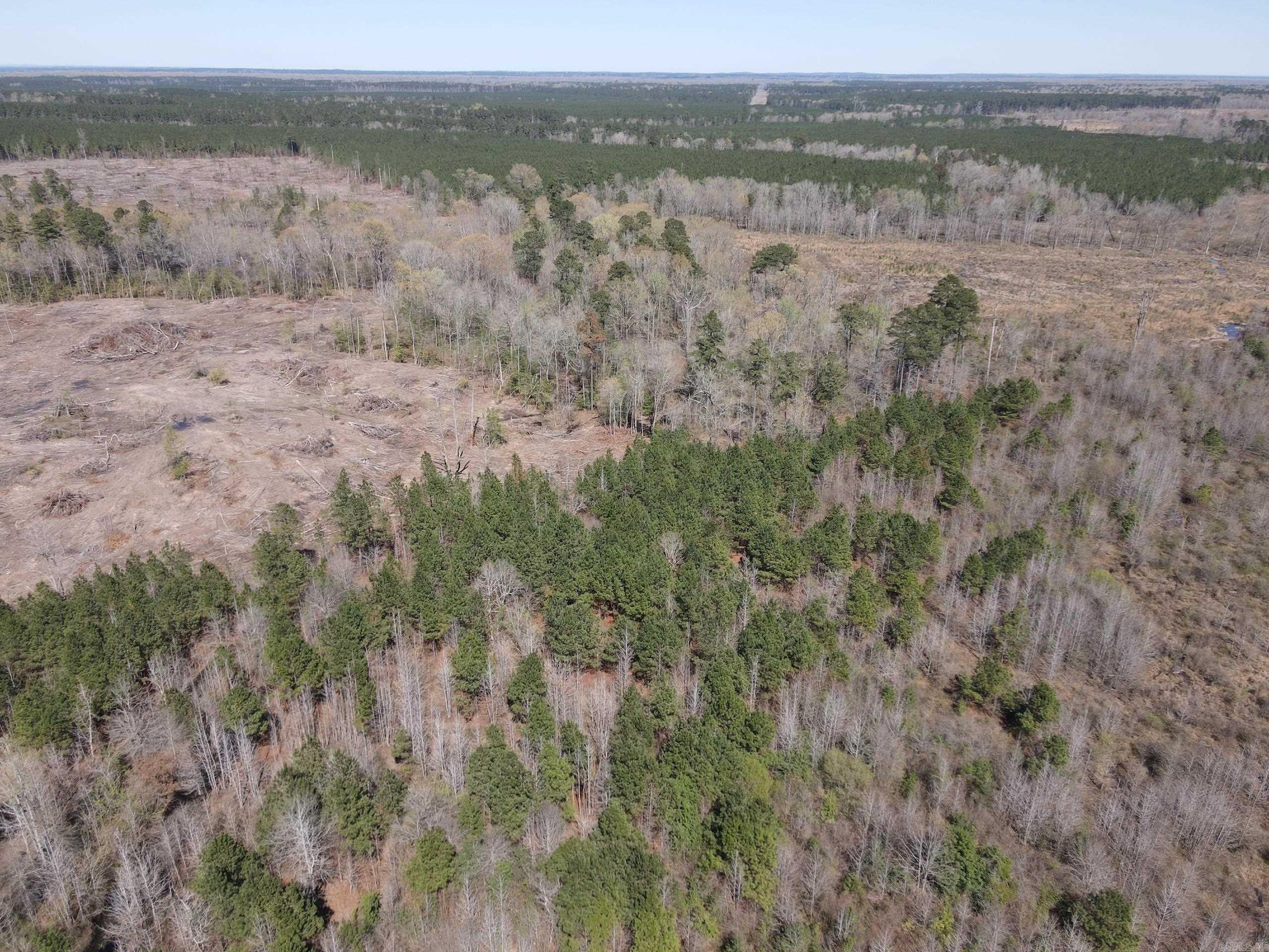 000 Camden Hwy  Prescott, AR