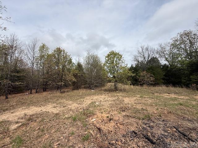 6 Summer Tyme Drive  Greenbrier, AR