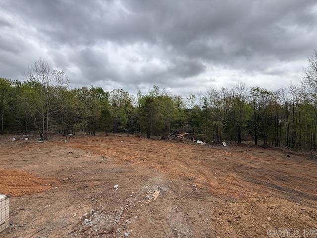 19 Summer Tyme Drive  Greenbrier, AR