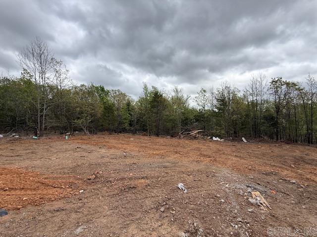 19 Summer Tyme Drive  Greenbrier, AR