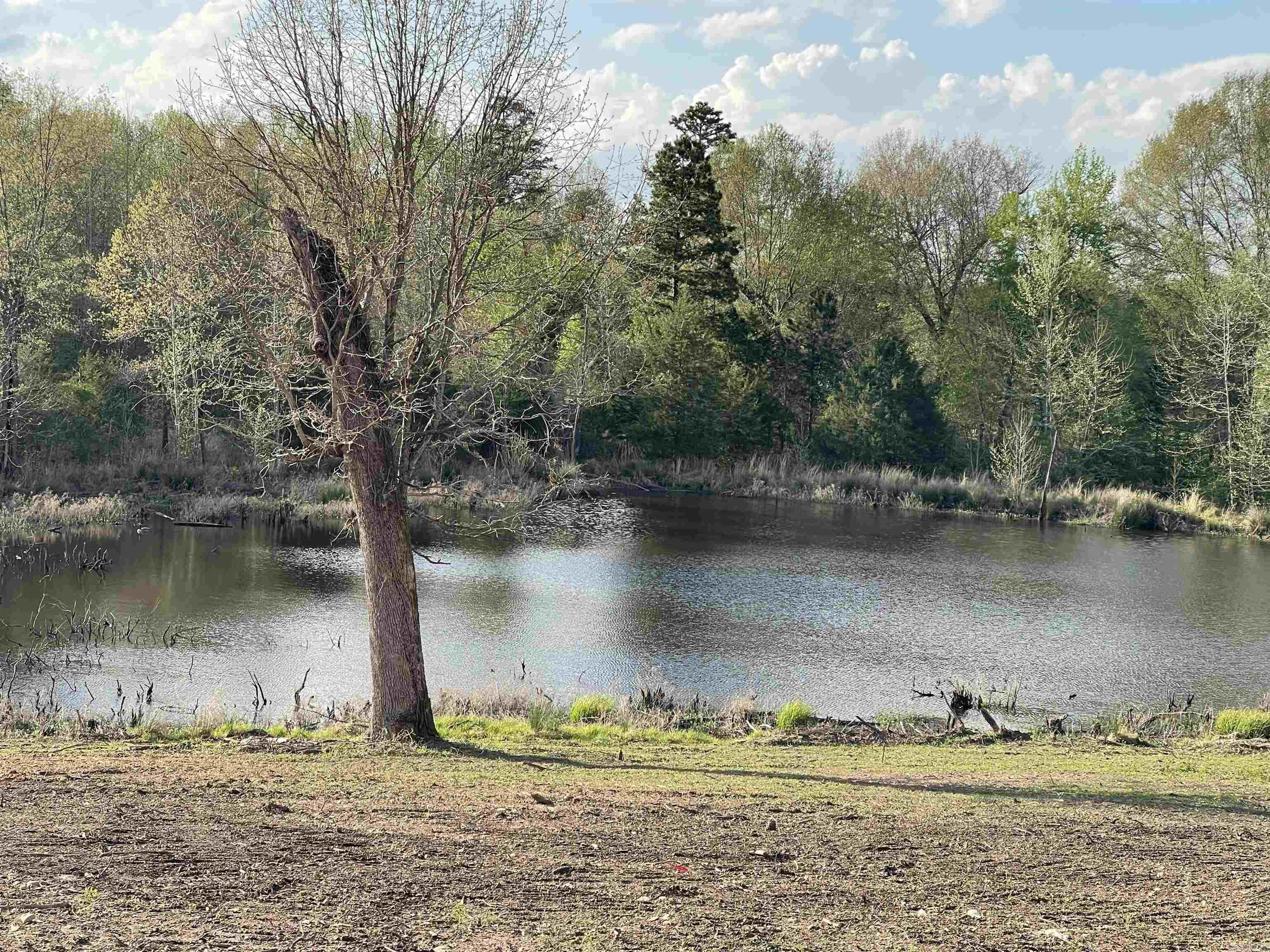 4109 W Creek Road  Ozark, AR