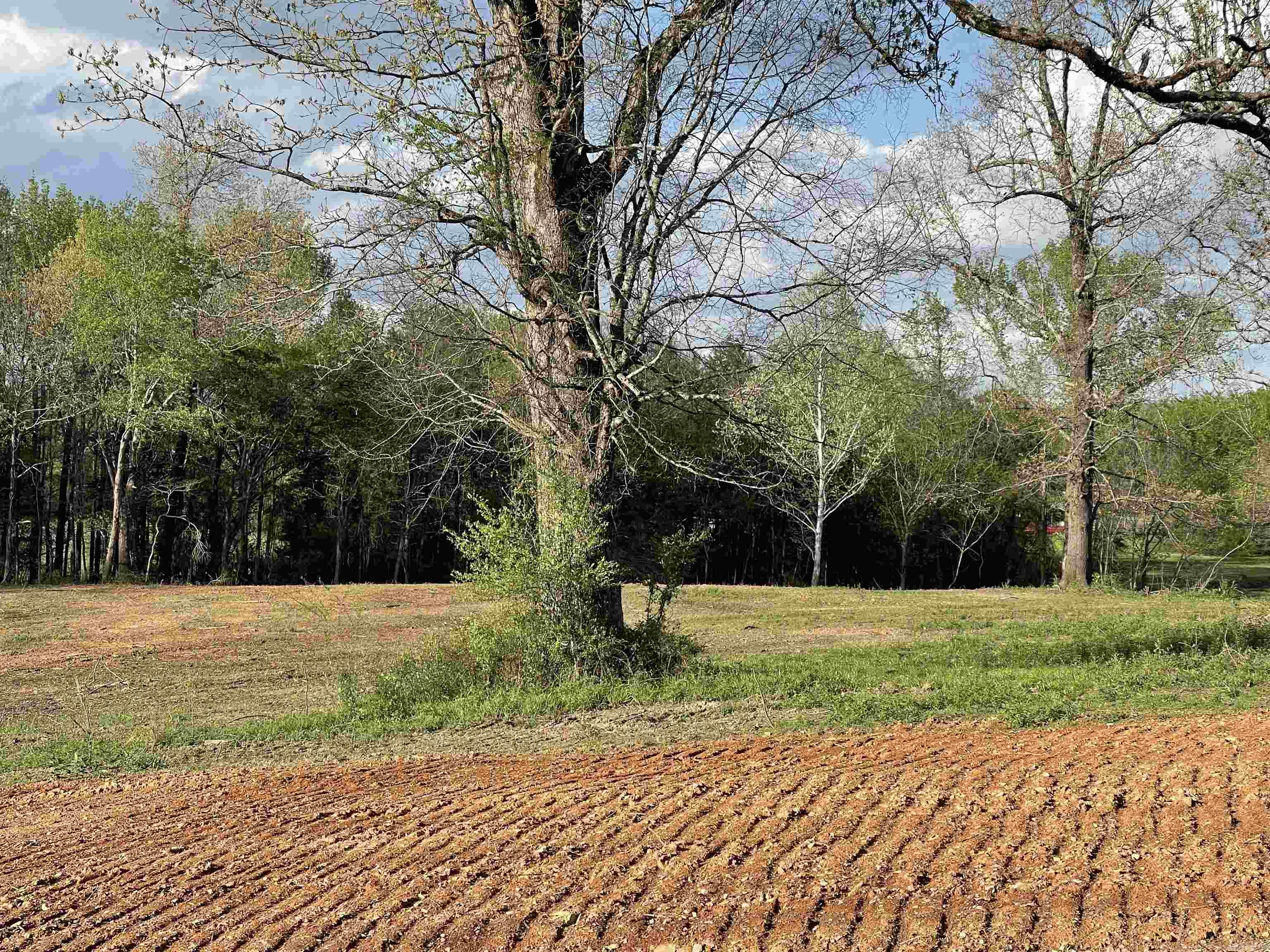 4109 W Creek Road  Ozark, AR