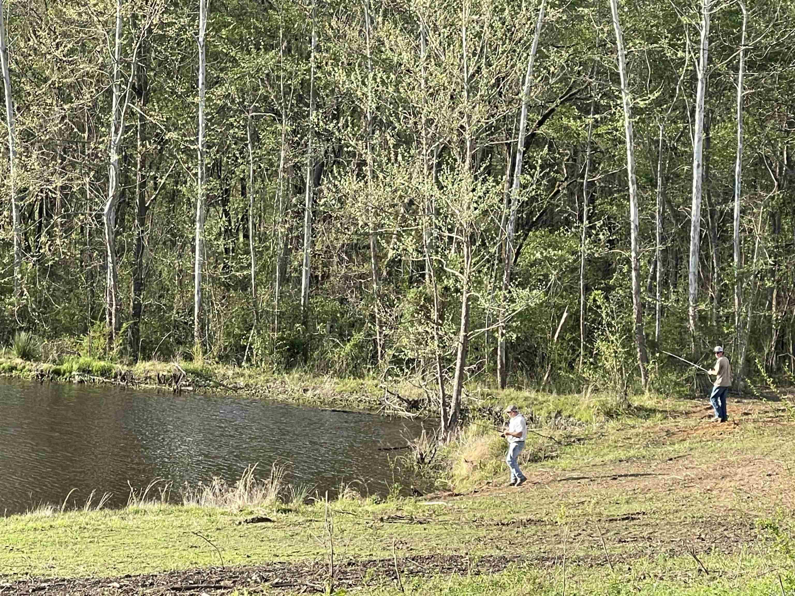 4109 W Creek Road  Ozark, AR