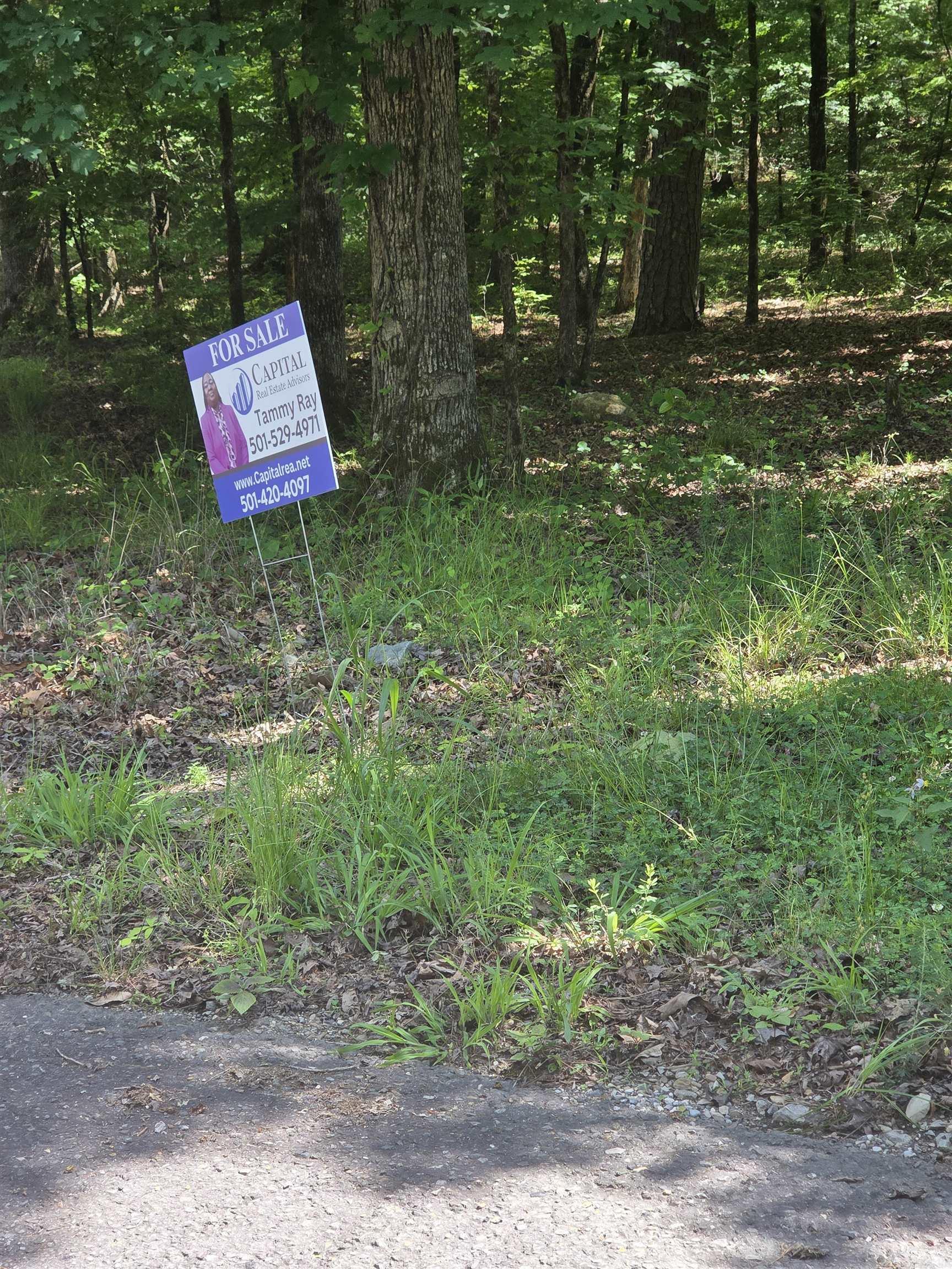 9 Archidona Lane  Hot Springs Village, AR